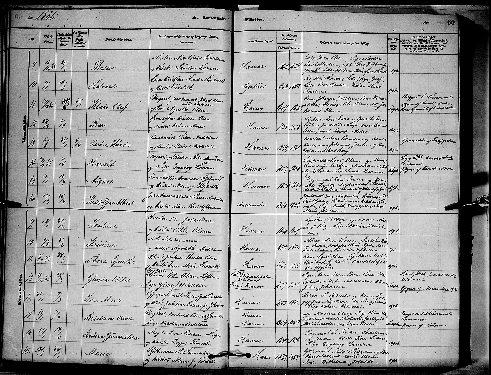 Vang prestekontor, Hedmark, AV/SAH-PREST-008/H/Ha/Hab/L0012: Klokkerbok nr. 12, 1878-1889, s. 60