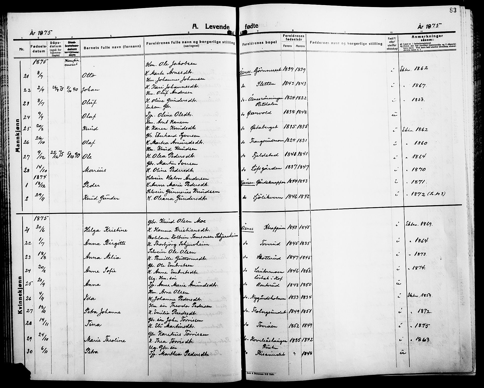 Åsnes prestekontor, AV/SAH-PREST-042/H/Ha/Haa/L0000B: Ministerialbok, 1870-1889, s. 83