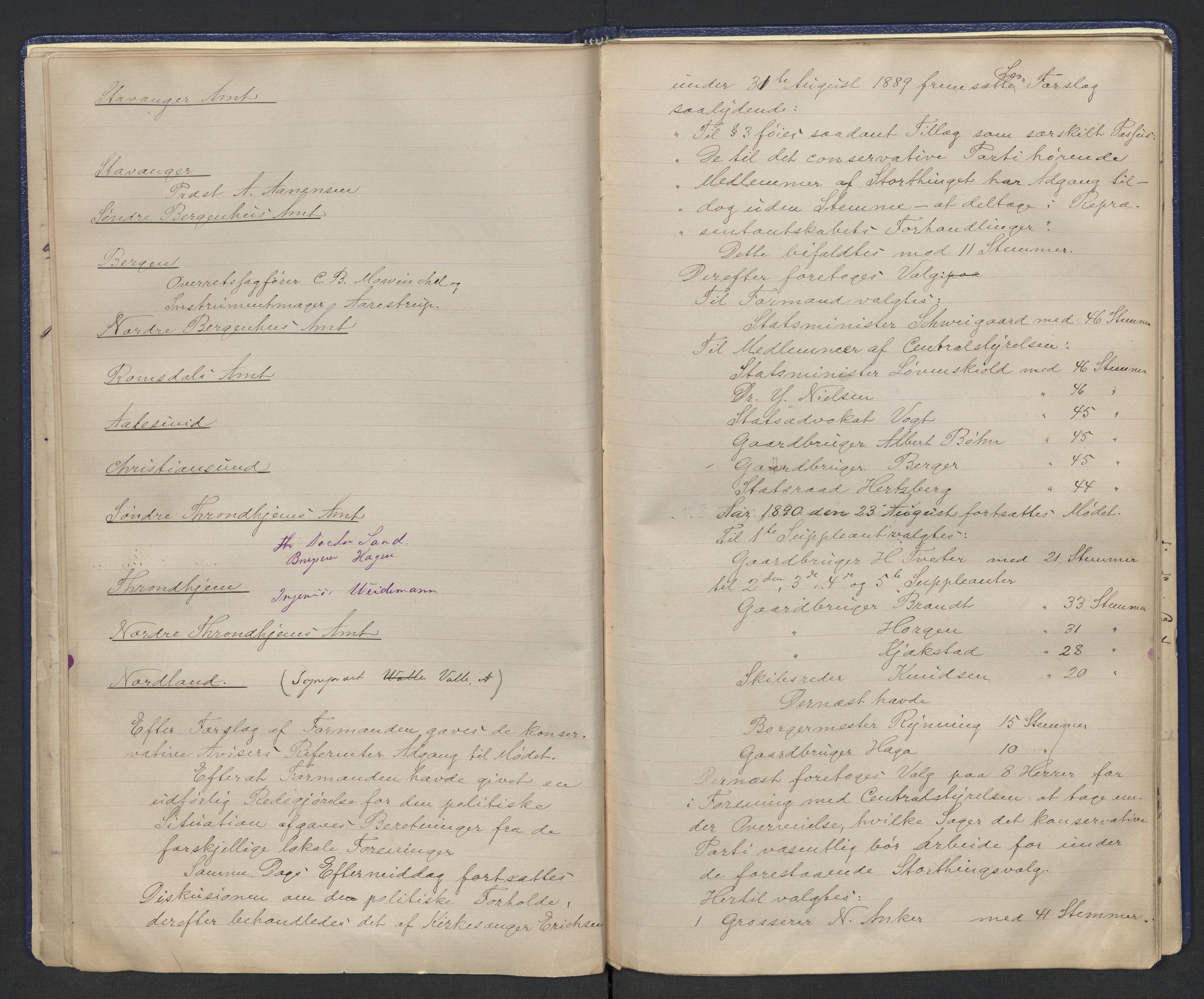 Høyres Hovedorganisasjon, AV/RA-PA-0583/1/A/Aa/L0001: De konservative foreningers centralstyre. Referatprotokoll, 1884-1897, s. 19