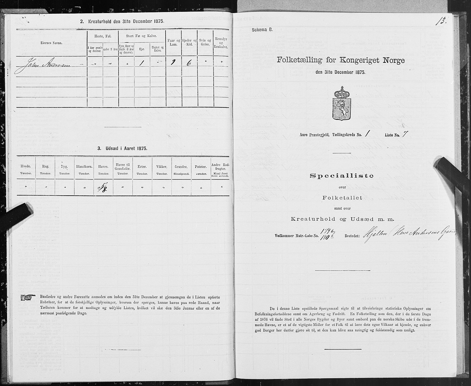 SAT, Folketelling 1875 for 1569P Aure prestegjeld, 1875, s. 1013