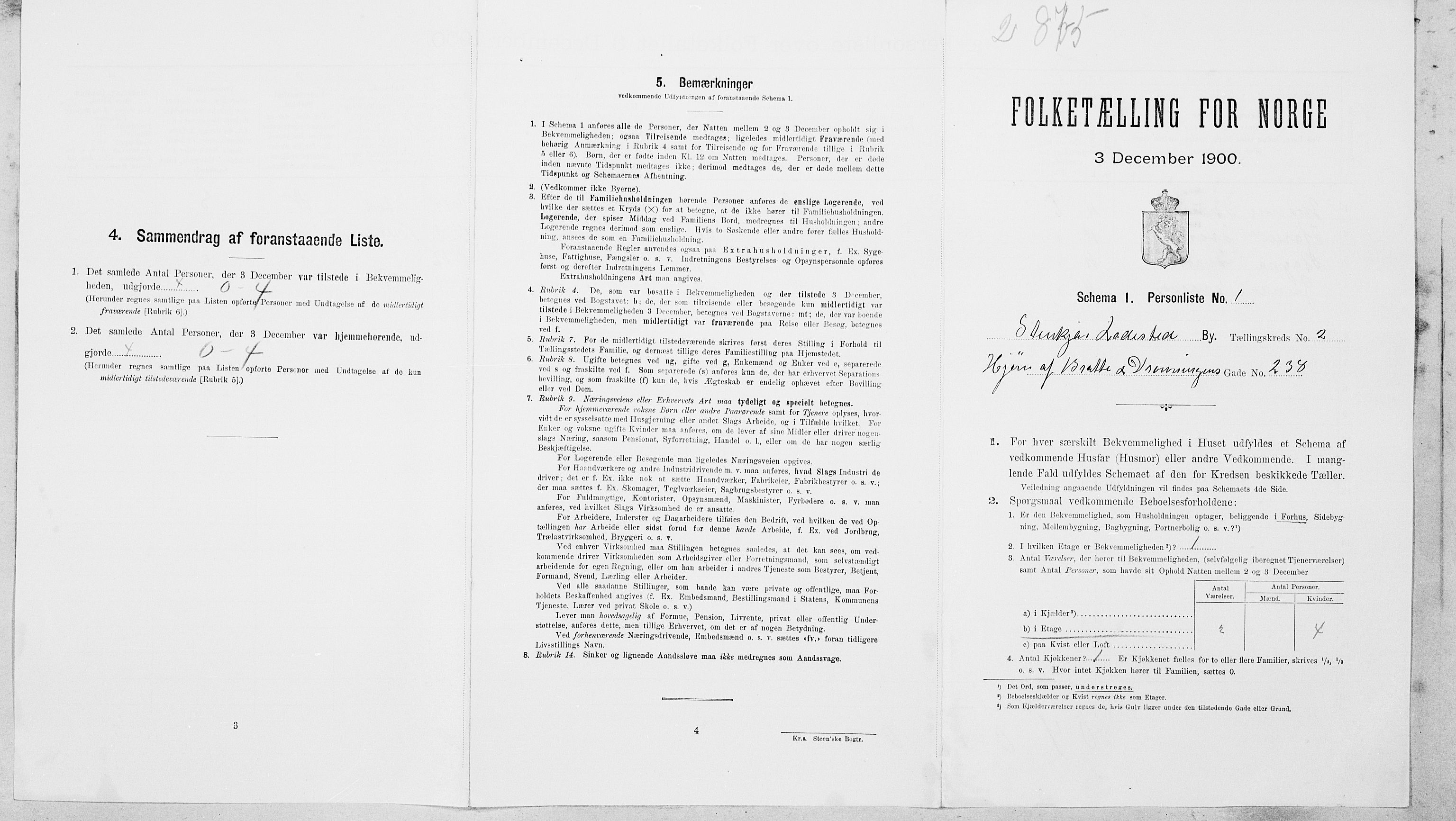 SAT, Folketelling 1900 for 1702 Steinkjer ladested, 1900, s. 218