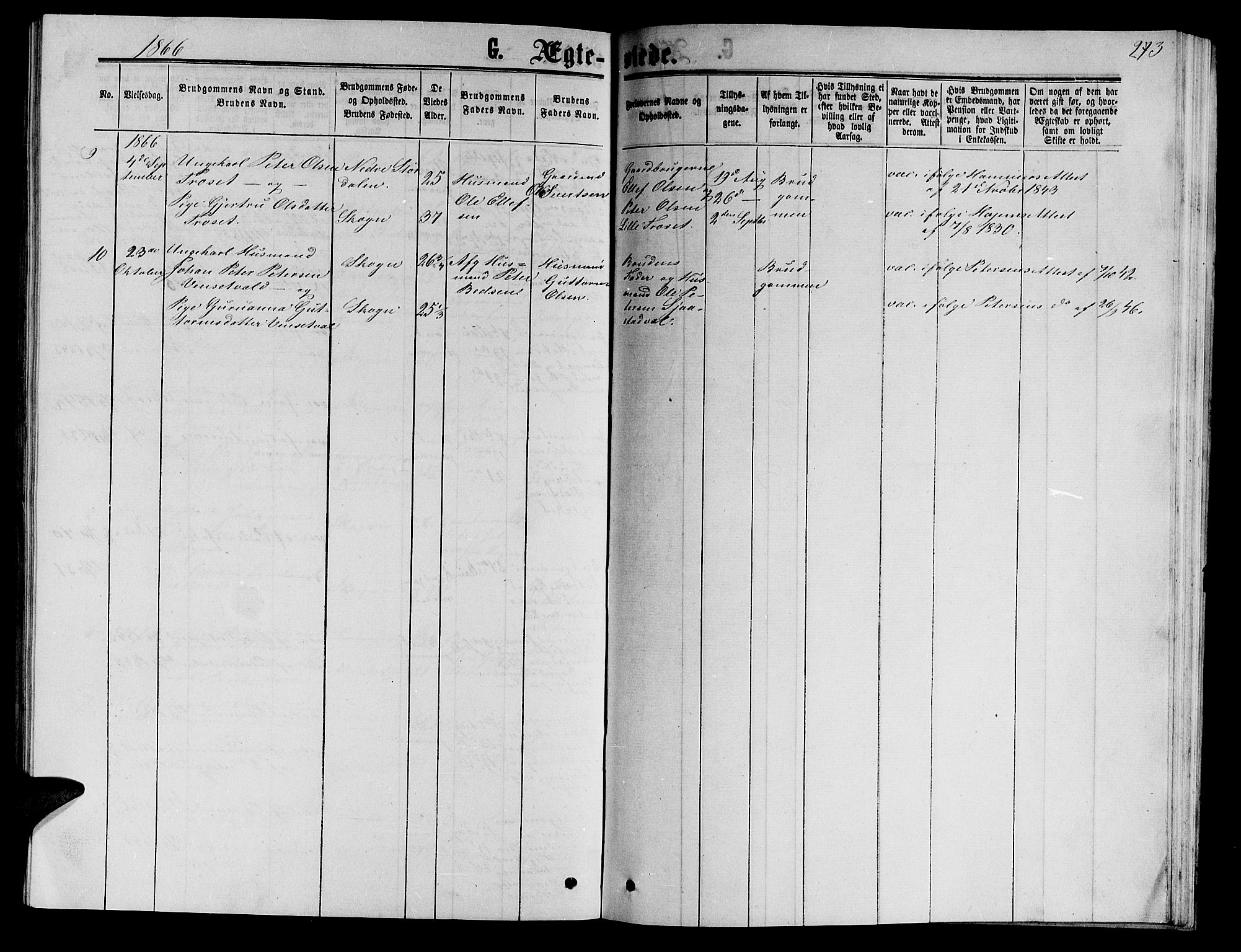 Ministerialprotokoller, klokkerbøker og fødselsregistre - Nord-Trøndelag, AV/SAT-A-1458/717/L0170: Klokkerbok nr. 717C02, 1866-1866, s. 273