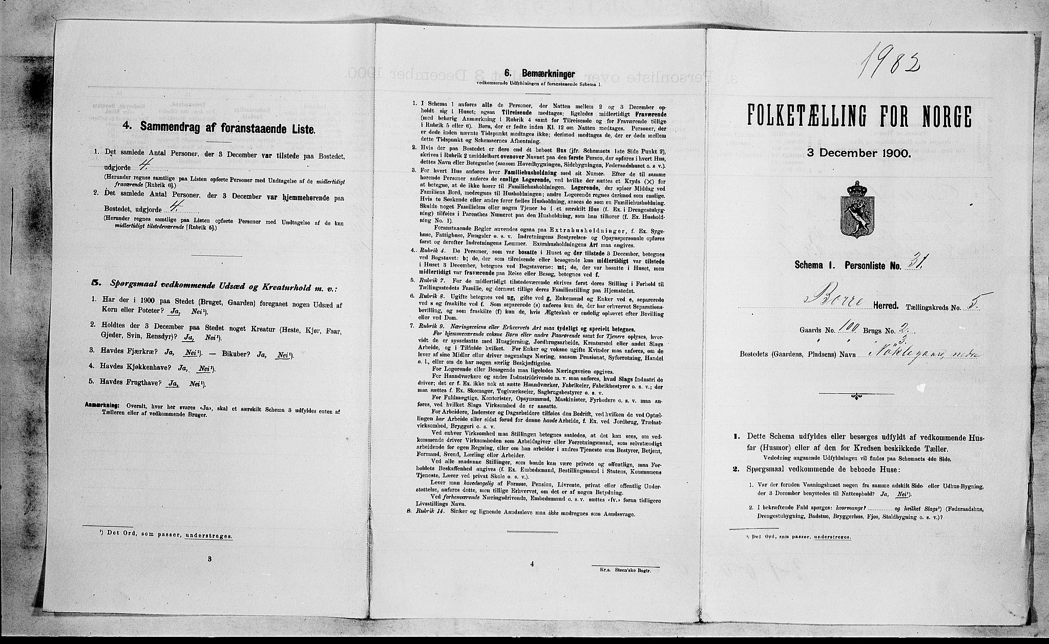 RA, Folketelling 1900 for 0717 Borre herred, 1900, s. 871