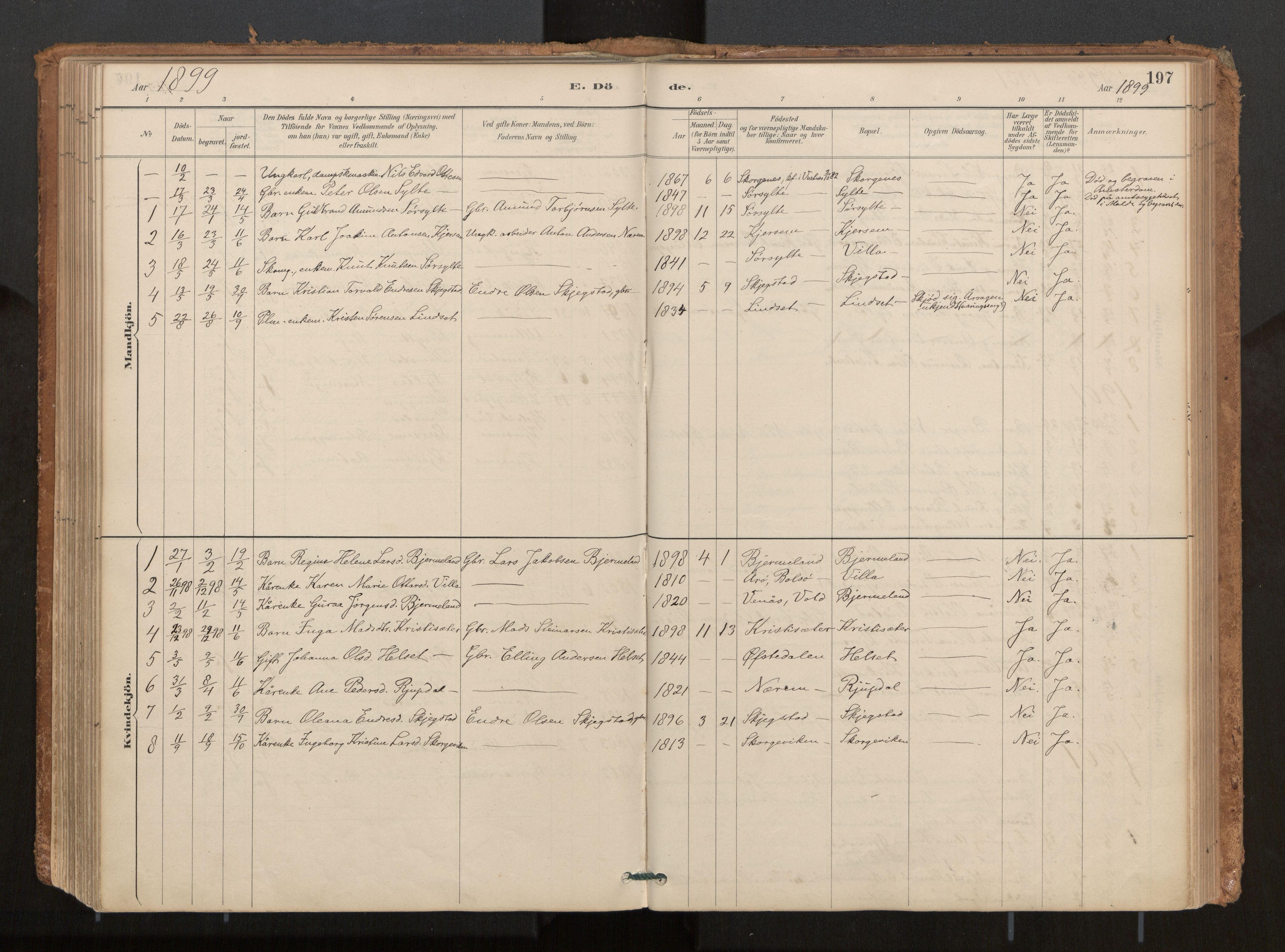 Ministerialprotokoller, klokkerbøker og fødselsregistre - Møre og Romsdal, AV/SAT-A-1454/541/L0545a: Ministerialbok nr. 541A03, 1887-1912, s. 197