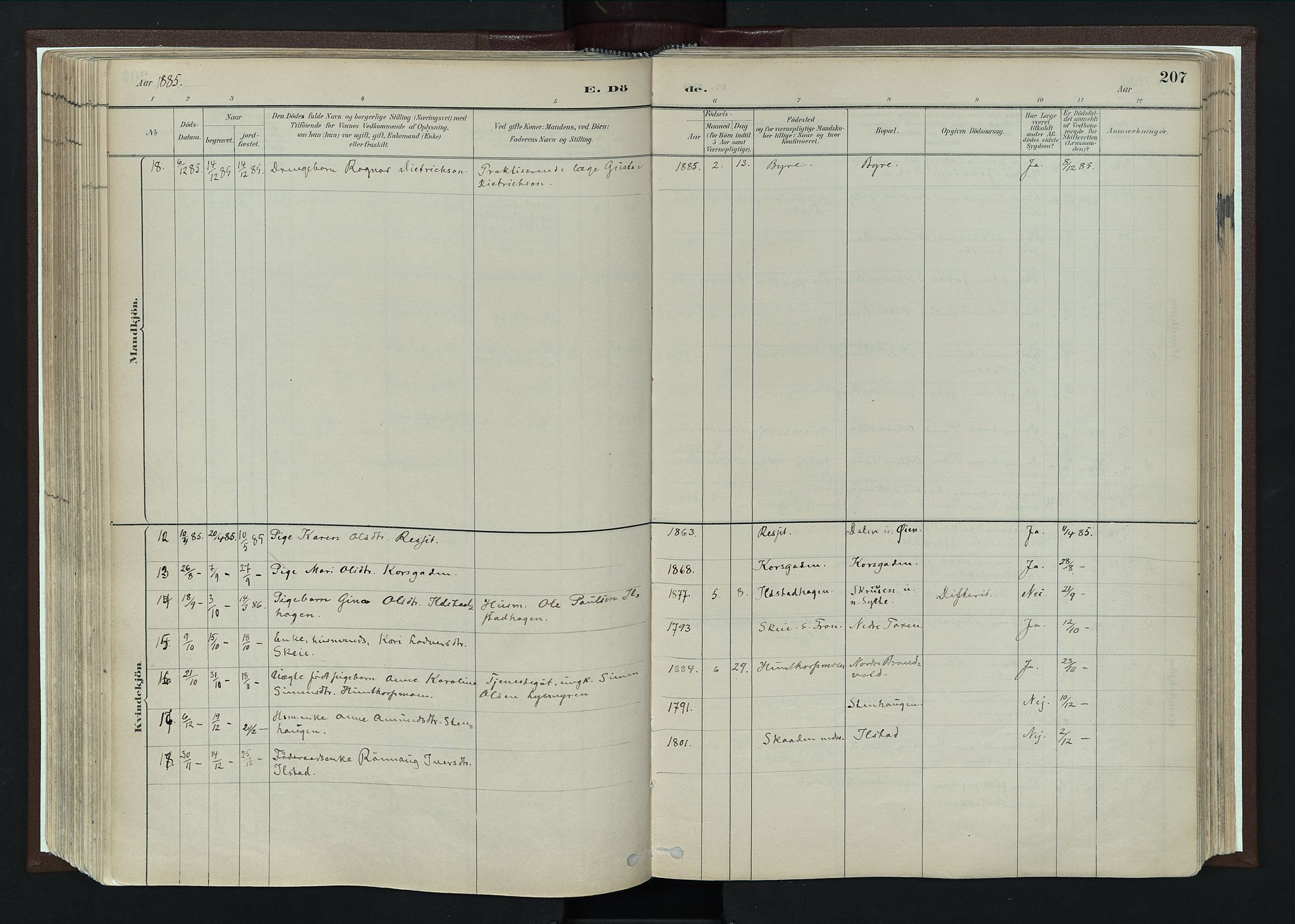 Nord-Fron prestekontor, AV/SAH-PREST-080/H/Ha/Haa/L0004: Ministerialbok nr. 4, 1884-1914, s. 207