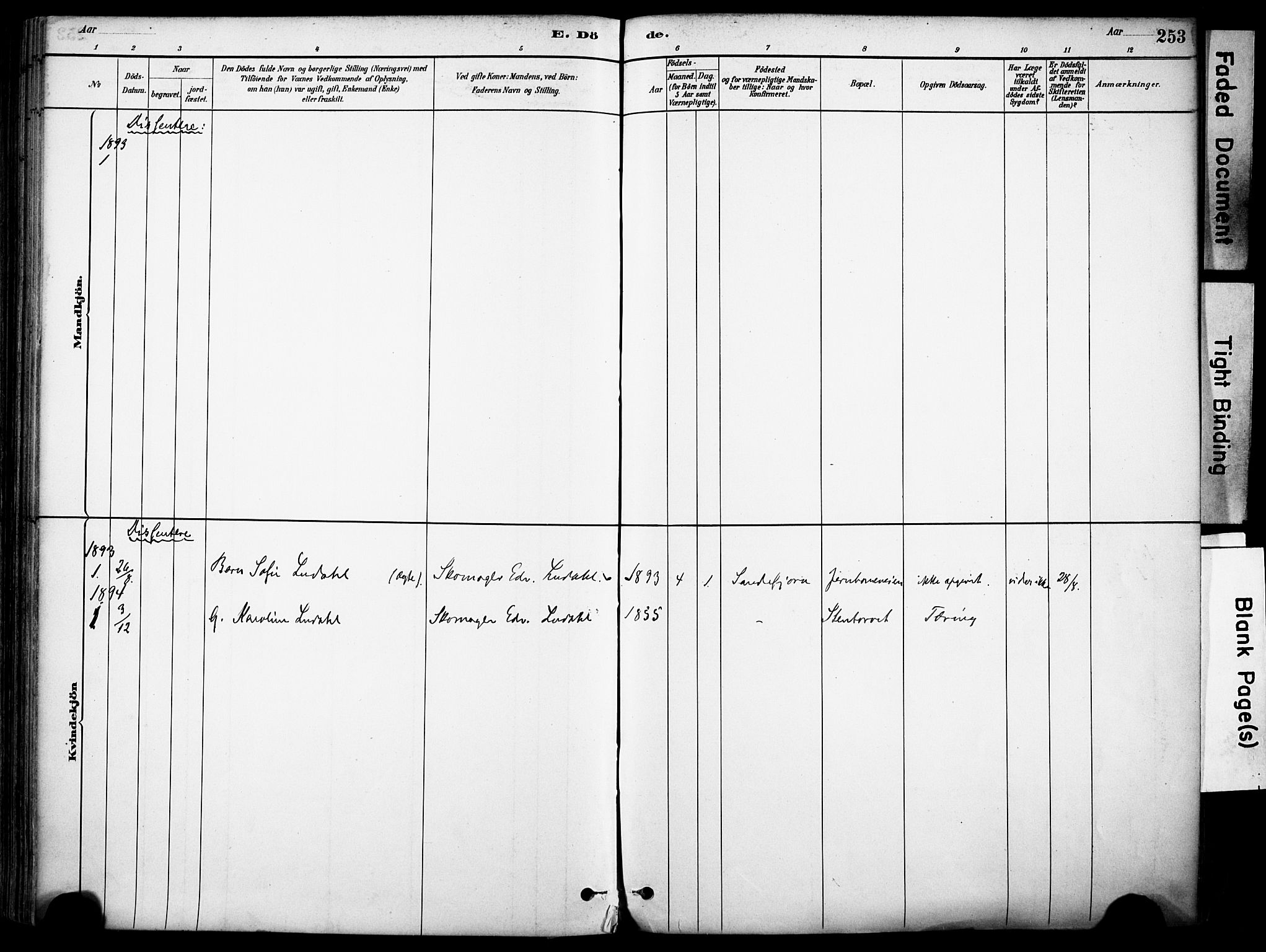Sandefjord kirkebøker, AV/SAKO-A-315/F/Fa/L0002: Ministerialbok nr. 2, 1880-1894, s. 253