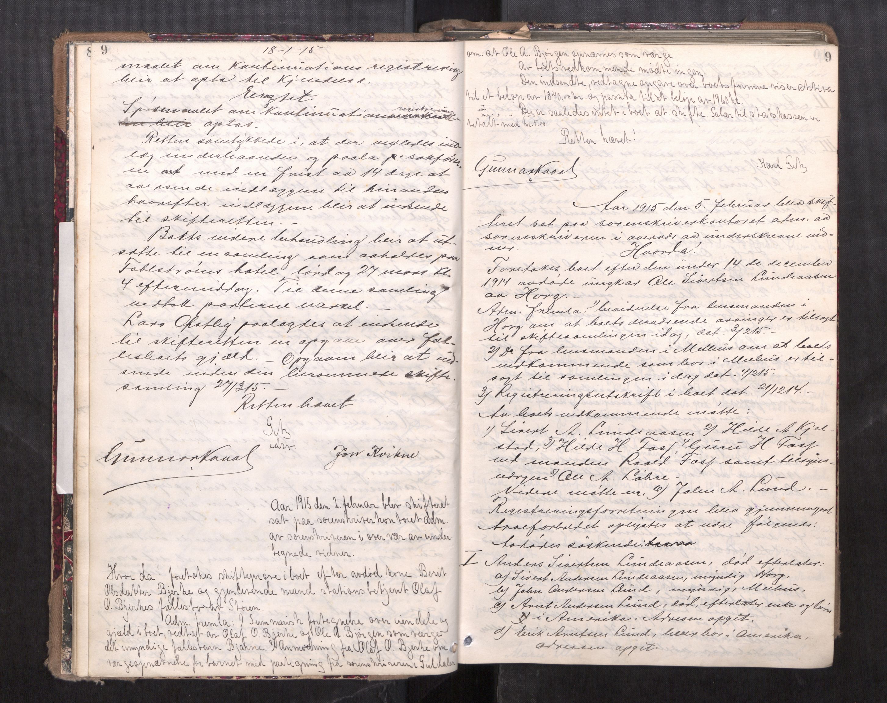 Gauldal sorenskriveri, AV/SAT-A-0014/1/3/3B/L0008: Skiftebehandlingsprotokoll, 1914-1920, s. 9