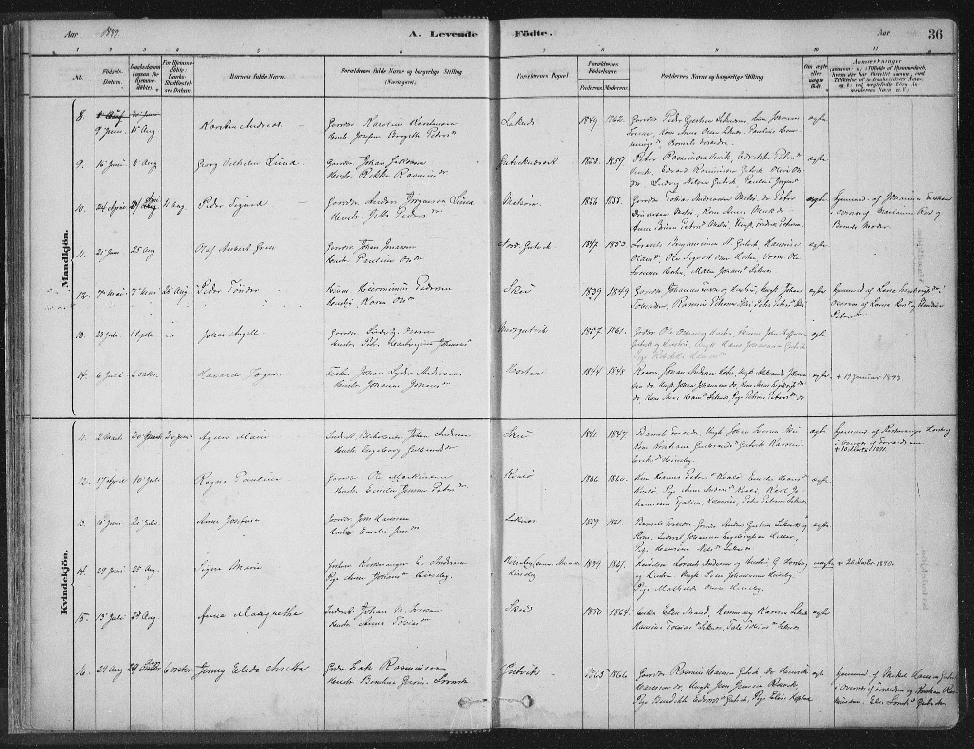 Ministerialprotokoller, klokkerbøker og fødselsregistre - Nord-Trøndelag, AV/SAT-A-1458/788/L0697: Ministerialbok nr. 788A04, 1878-1902, s. 36