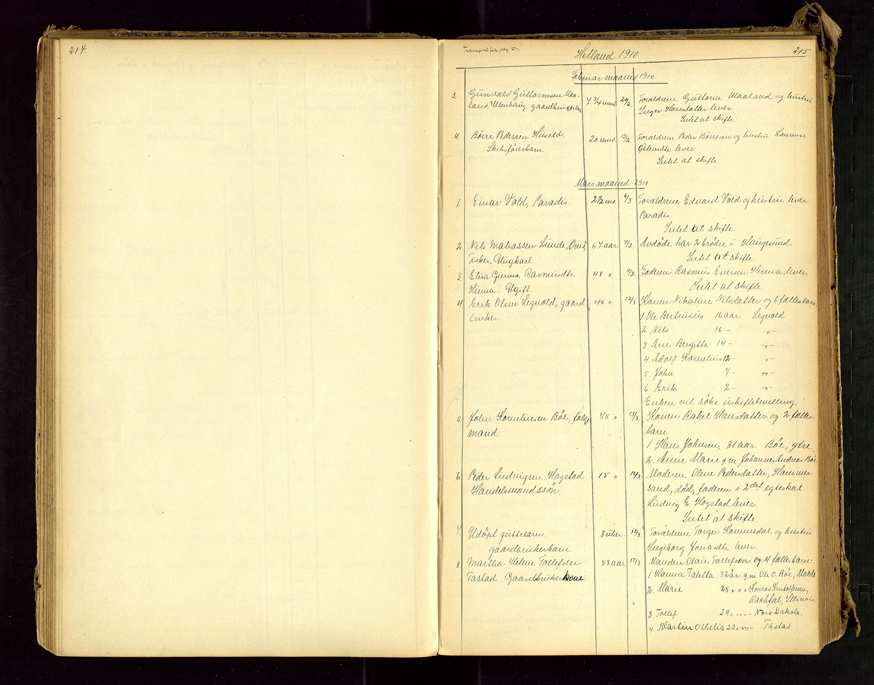 Jæren sorenskriveri, AV/SAST-A-100310/01/5/52/52B/L0002: DØDSFALLPROTOKOLL, 1896-1910, s. 214-215