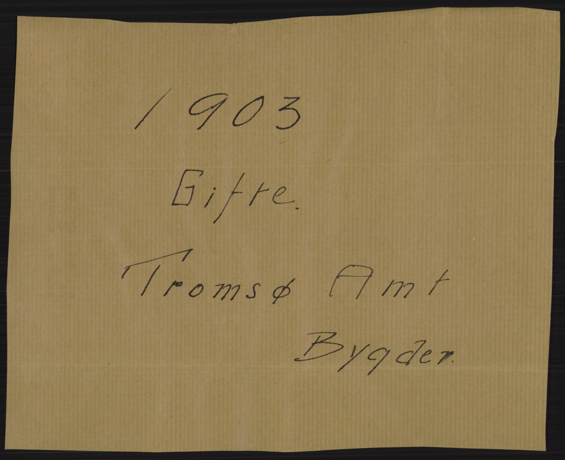 Statistisk sentralbyrå, Sosiodemografiske emner, Befolkning, AV/RA-S-2228/D/Df/Dfa/Dfaa/L0021: Tromsø amt: Fødte, gifte, døde., 1903, s. 299