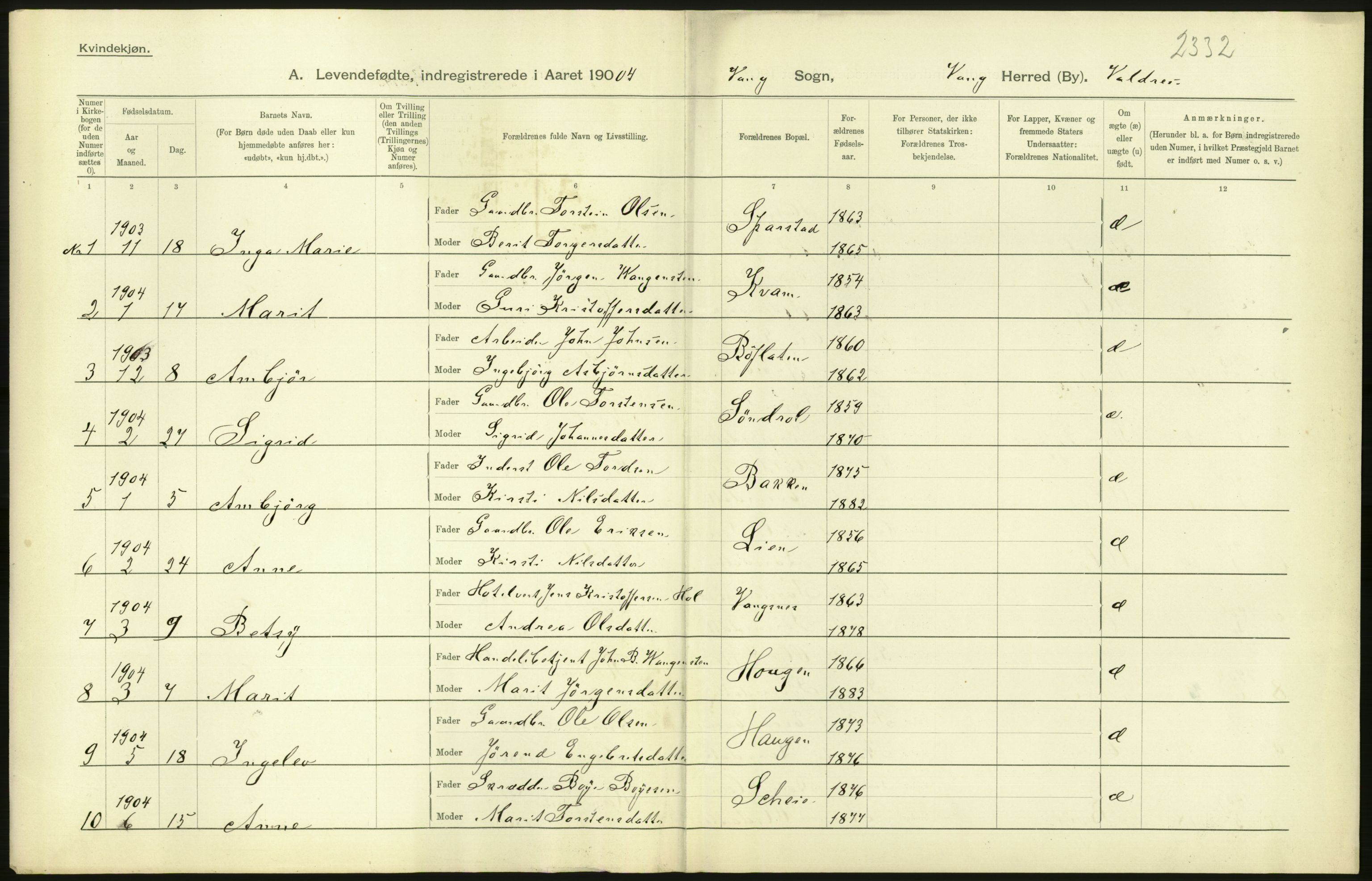 Statistisk sentralbyrå, Sosiodemografiske emner, Befolkning, AV/RA-S-2228/D/Df/Dfa/Dfab/L0006: Kristians amt: Fødte, gifte, døde, 1904, s. 436