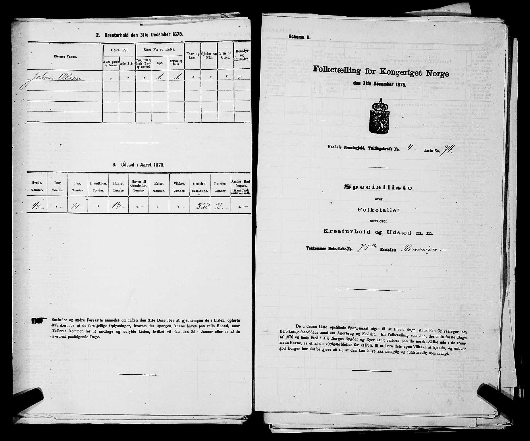 RA, Folketelling 1875 for 0138P Hobøl prestegjeld, 1875, s. 723