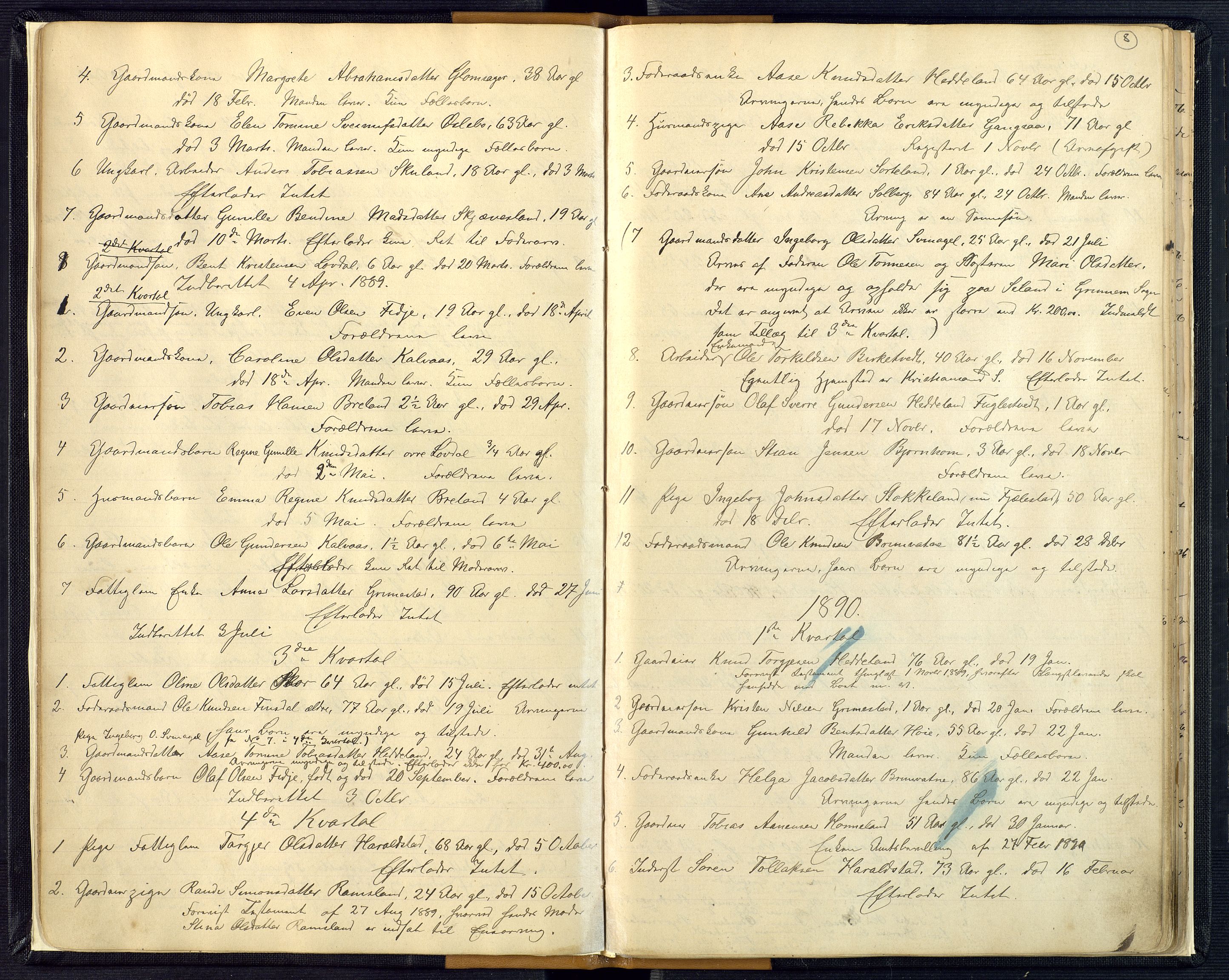 Mandal sorenskriveri, AV/SAK-1221-0005/001/H/Ha/L0016: Dødsfall Øyslebø og Laudal nr 15, 1882-1913, s. 8