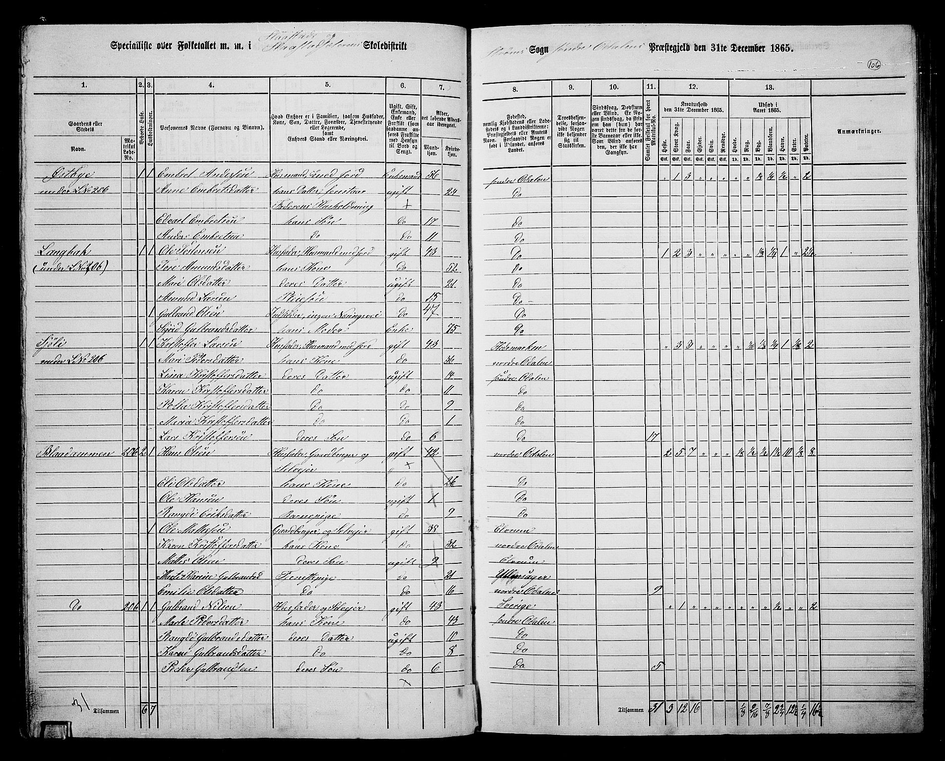 RA, Folketelling 1865 for 0419P Sør-Odal prestegjeld, 1865, s. 96