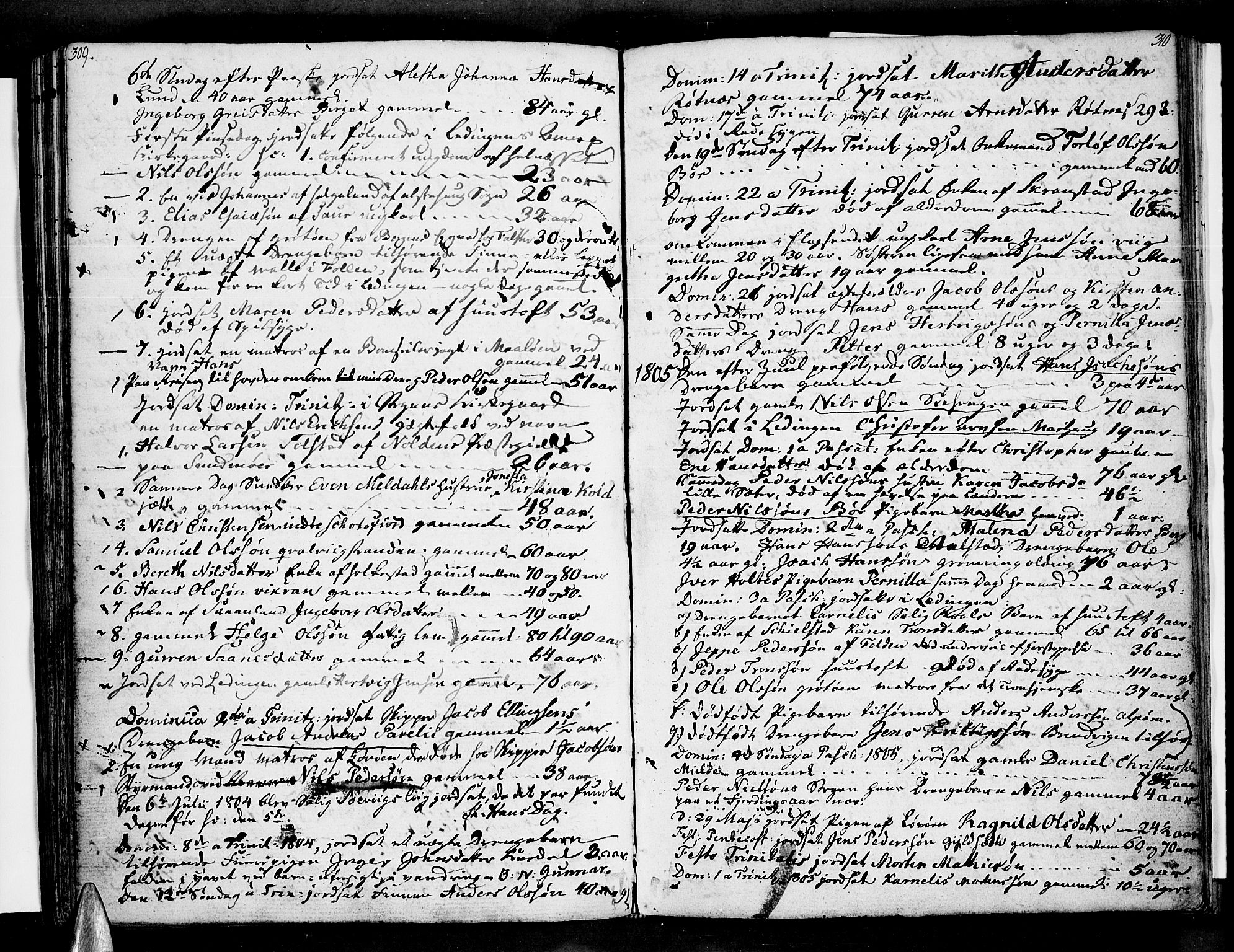 Ministerialprotokoller, klokkerbøker og fødselsregistre - Nordland, AV/SAT-A-1459/855/L0797: Ministerialbok nr. 855A05, 1800-1820, s. 309-310
