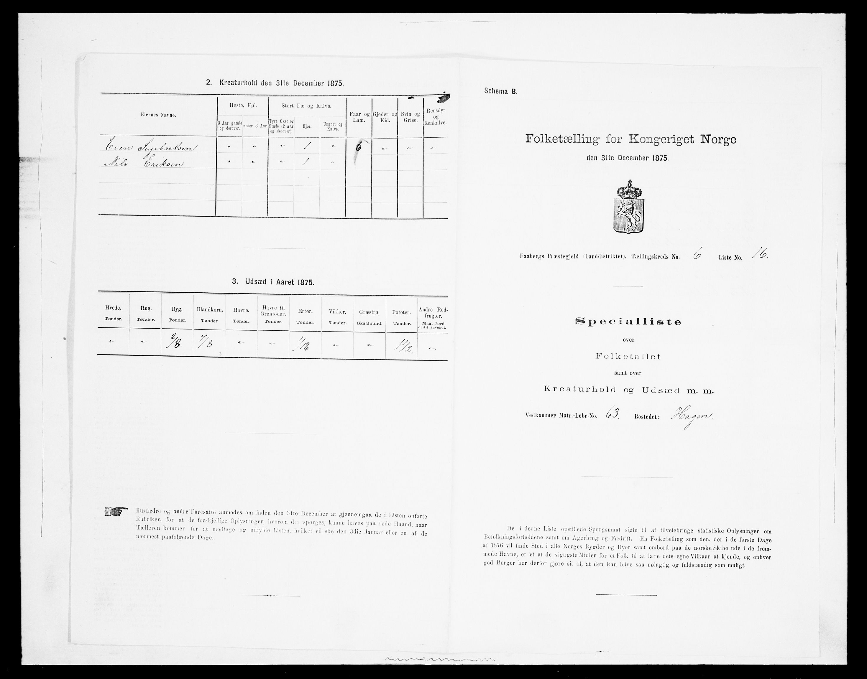 SAH, Folketelling 1875 for 0524L Fåberg prestegjeld, Fåberg sokn og Lillehammer landsokn, 1875, s. 729