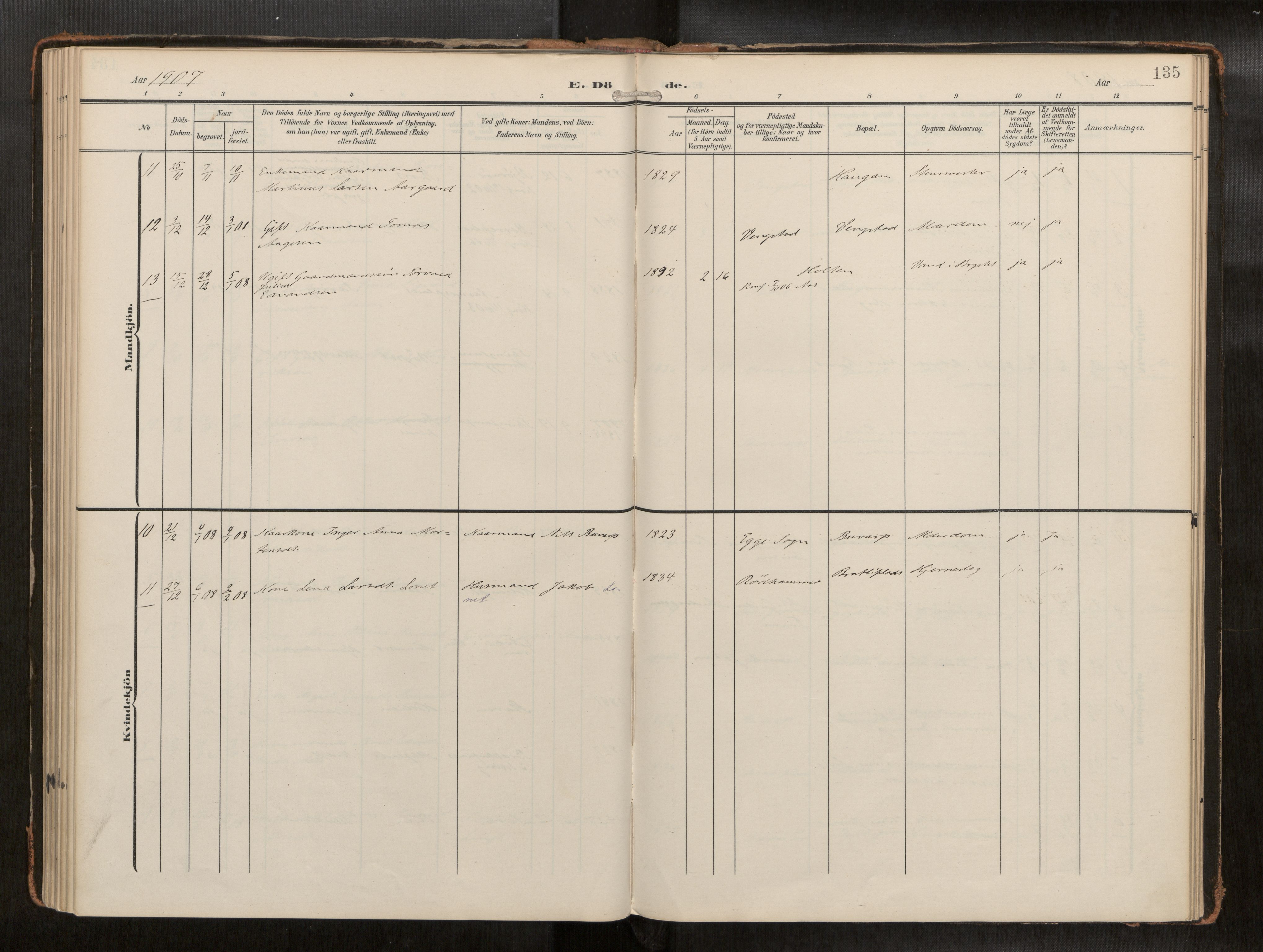 Ministerialprotokoller, klokkerbøker og fødselsregistre - Nord-Trøndelag, AV/SAT-A-1458/742/L0409a: Ministerialbok nr. 742A03, 1906-1924, s. 135