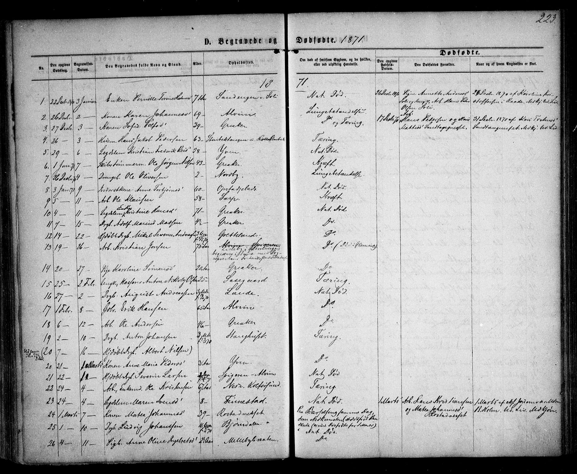 Tune prestekontor Kirkebøker, AV/SAO-A-2007/F/Fa/L0015: Ministerialbok nr. 15, 1869-1873, s. 223