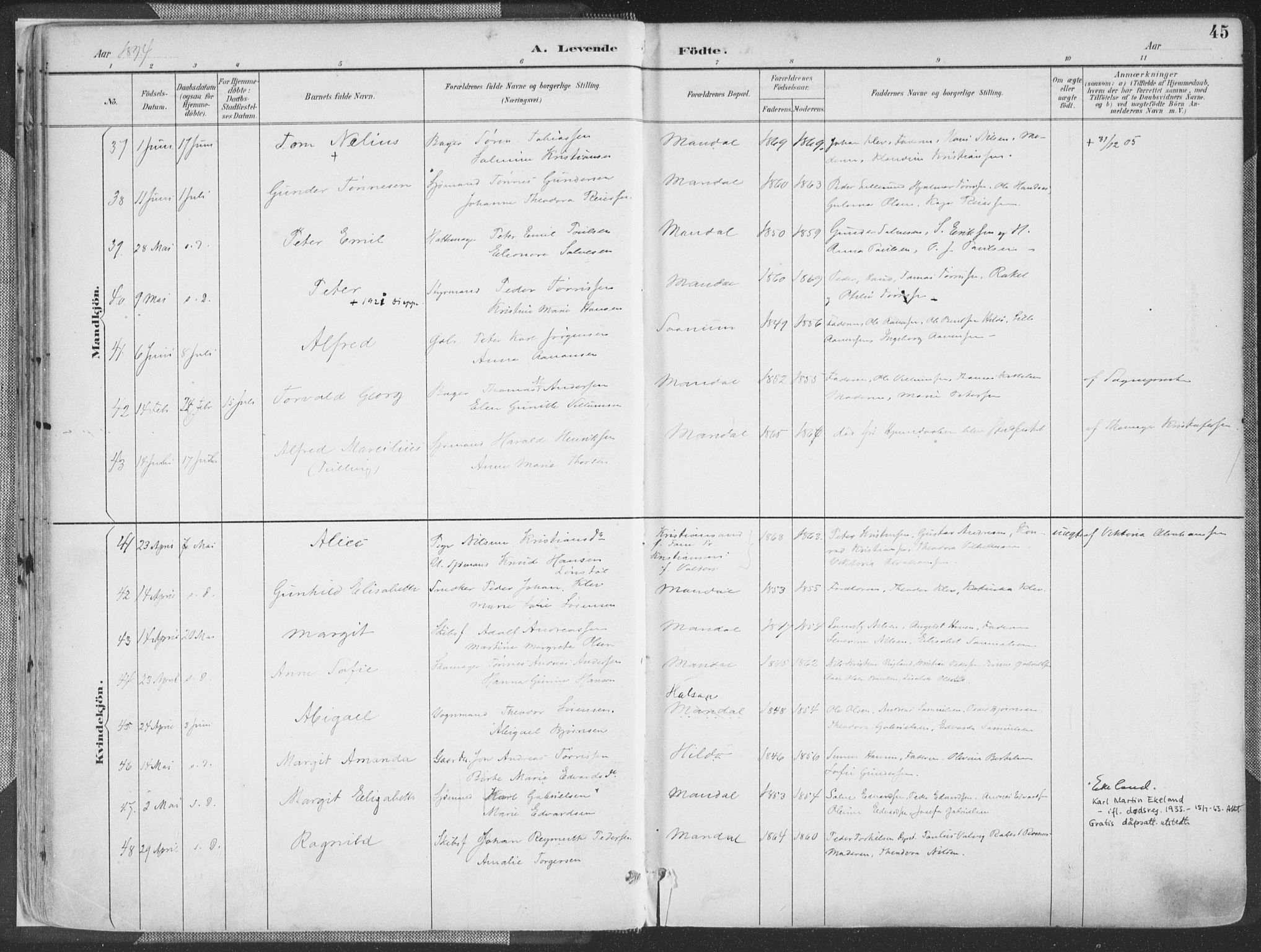 Mandal sokneprestkontor, SAK/1111-0030/F/Fa/Faa/L0018: Ministerialbok nr. A 18, 1890-1905, s. 45