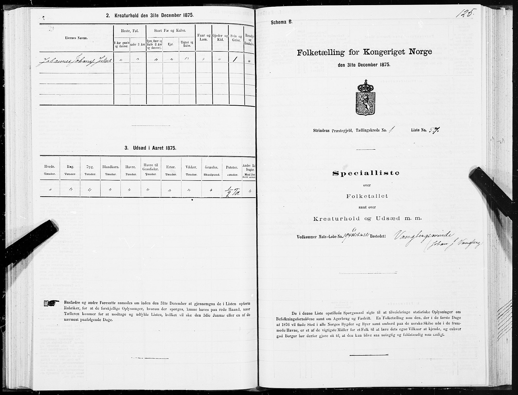 SAT, Folketelling 1875 for 1660P Strinda prestegjeld, 1875, s. 1125