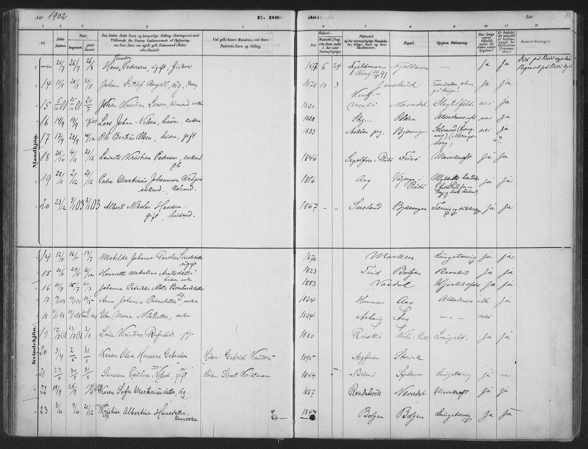 Ministerialprotokoller, klokkerbøker og fødselsregistre - Nordland, SAT/A-1459/843/L0627: Ministerialbok nr. 843A02, 1878-1908, s. 118