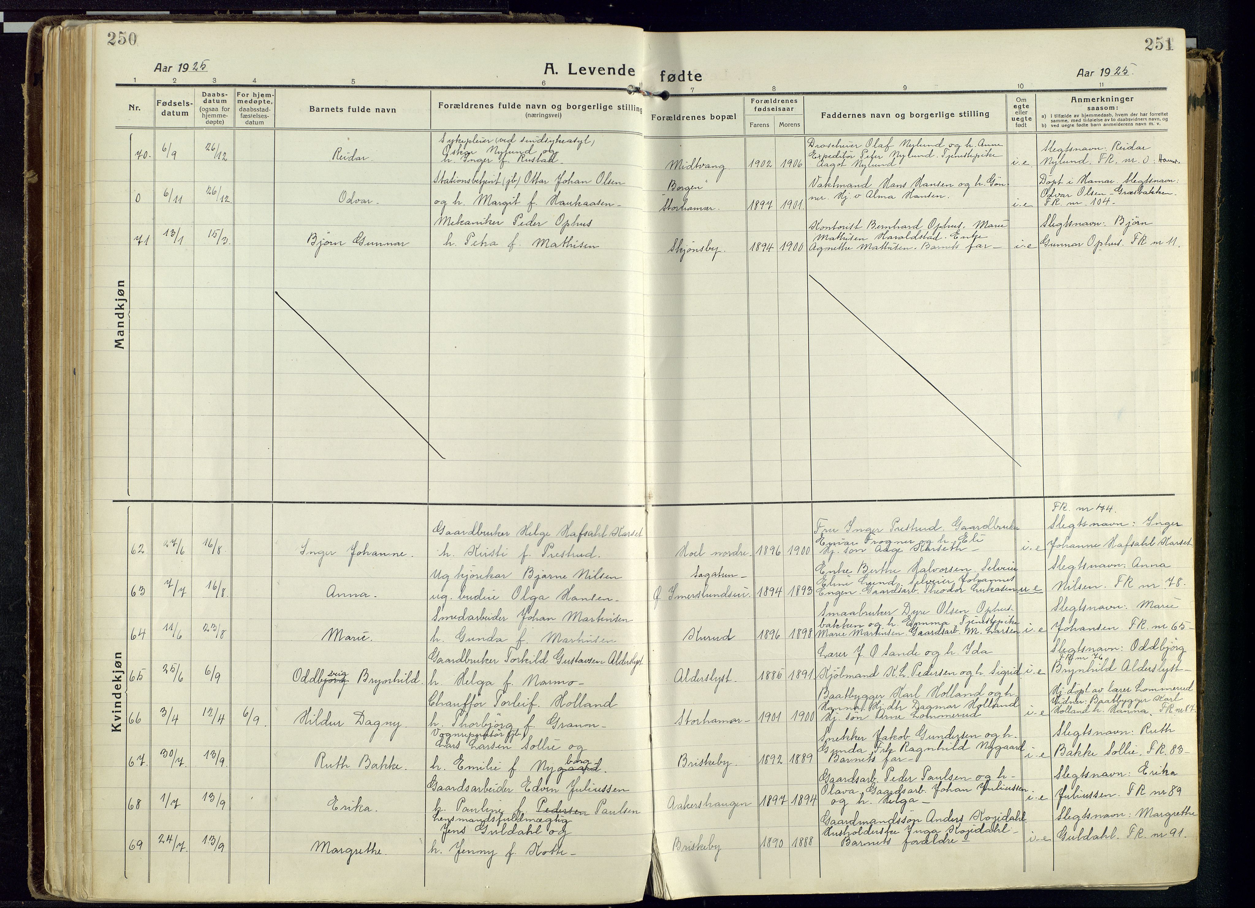 Vang prestekontor, Hedmark, AV/SAH-PREST-008/H/Ha/Haa/L0022: Ministerialbok nr. 22, 1918-1944, s. 250-251