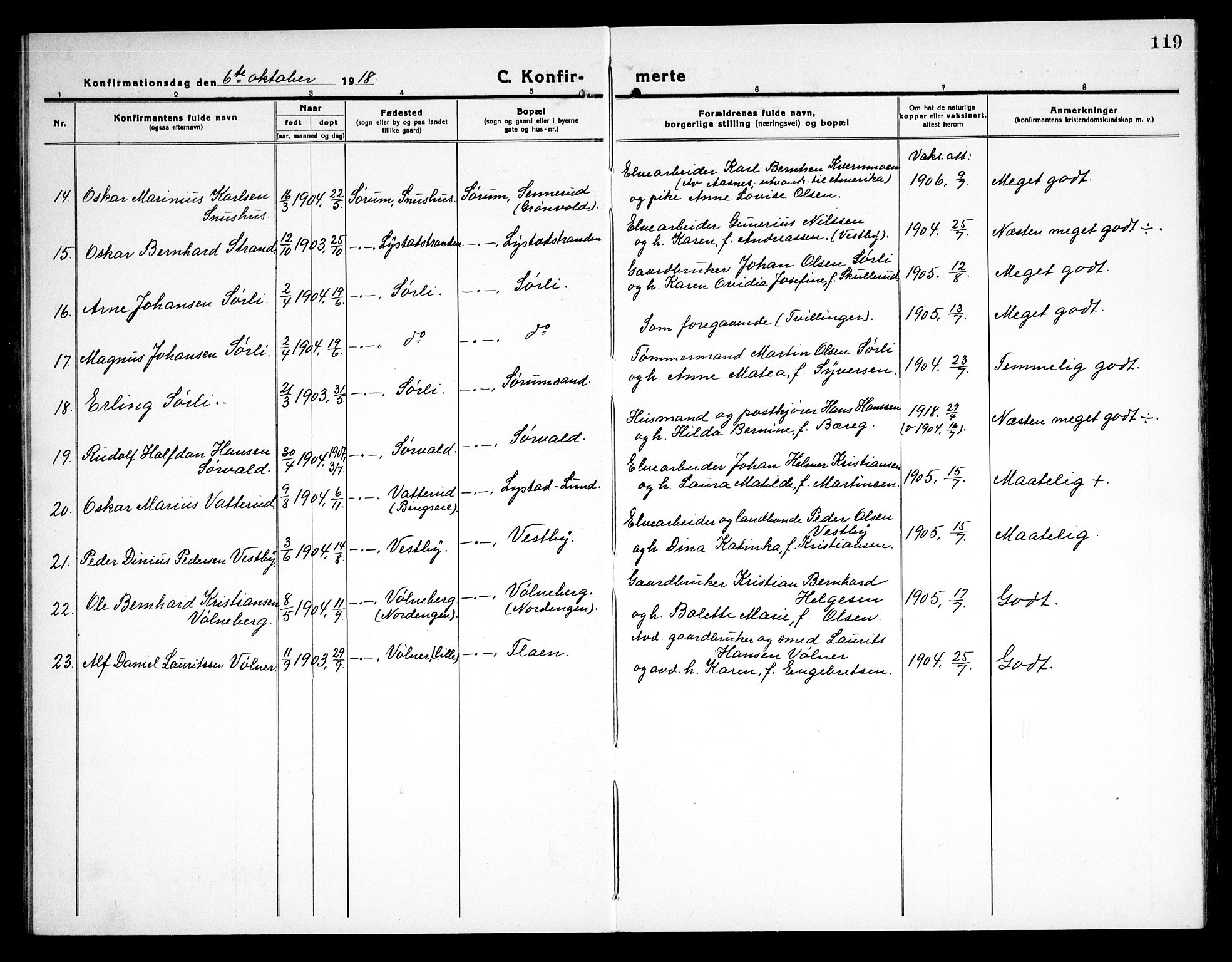 Sørum prestekontor Kirkebøker, AV/SAO-A-10303/G/Ga/L0008: Klokkerbok nr. I 8, 1917-1934, s. 119