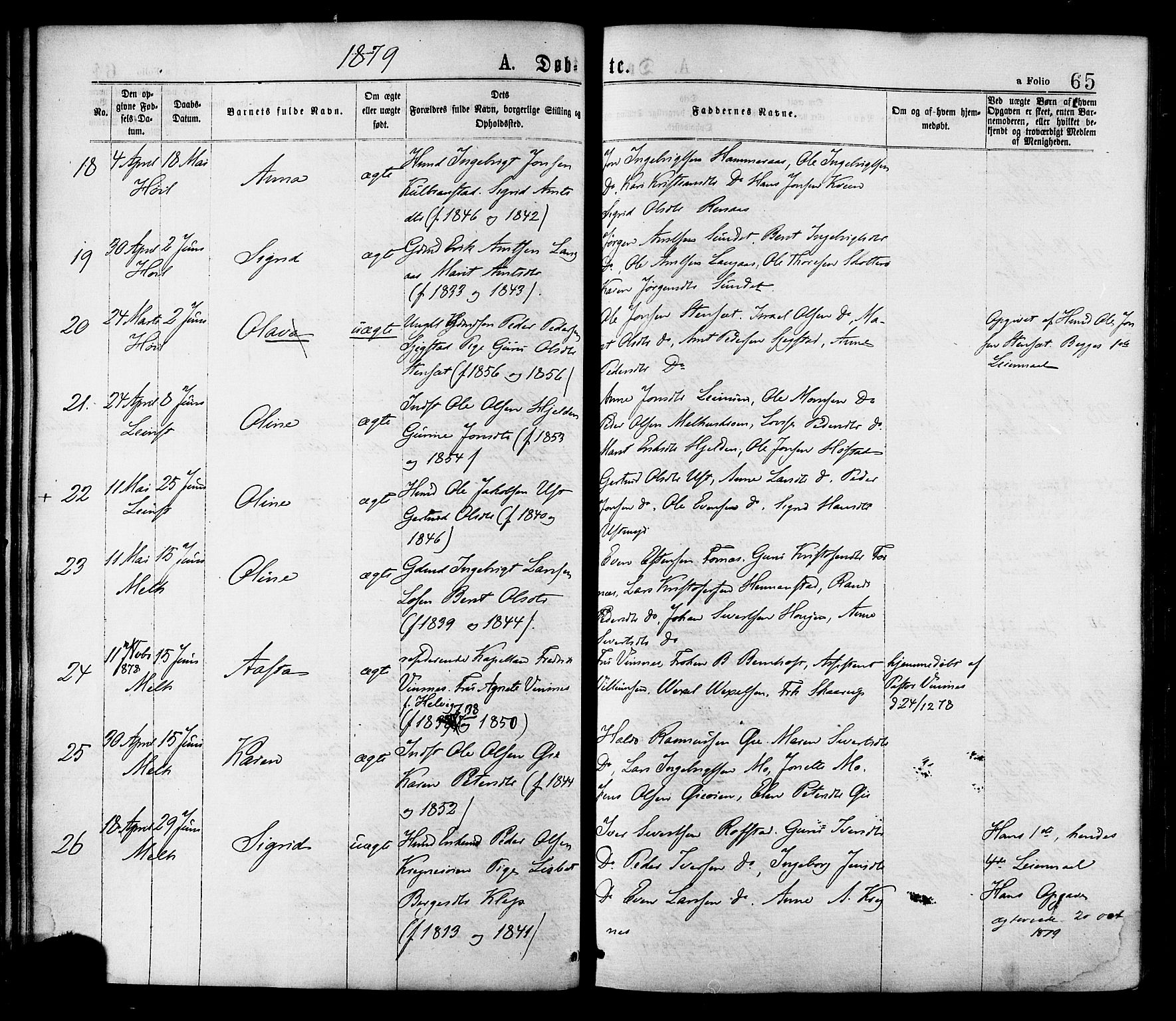 Ministerialprotokoller, klokkerbøker og fødselsregistre - Sør-Trøndelag, AV/SAT-A-1456/691/L1079: Ministerialbok nr. 691A11, 1873-1886, s. 65