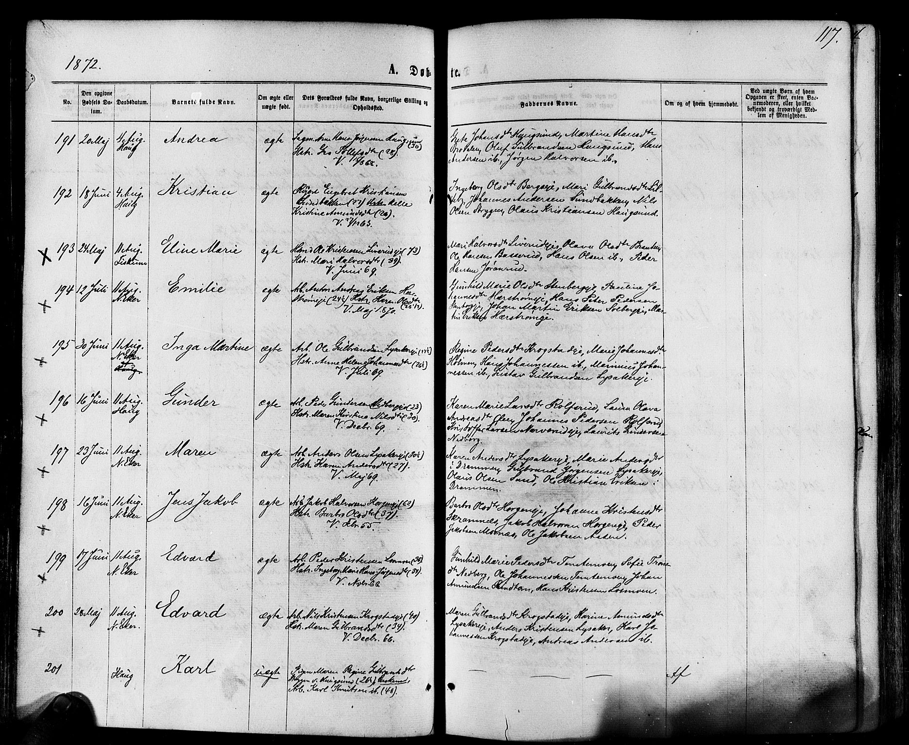 Eiker kirkebøker, AV/SAKO-A-4/F/Fa/L0017: Ministerialbok nr. I 17, 1869-1877, s. 117