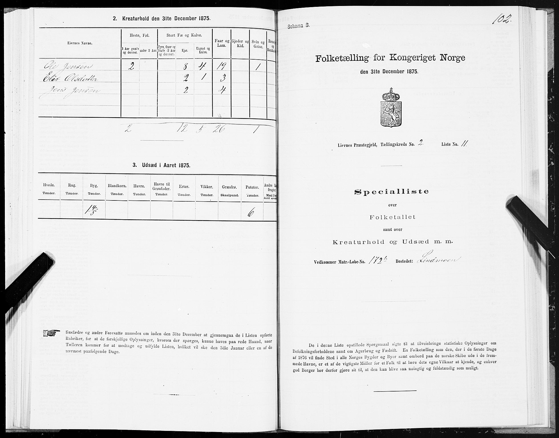 SAT, Folketelling 1875 for 1737P Lierne prestegjeld, 1875, s. 1102