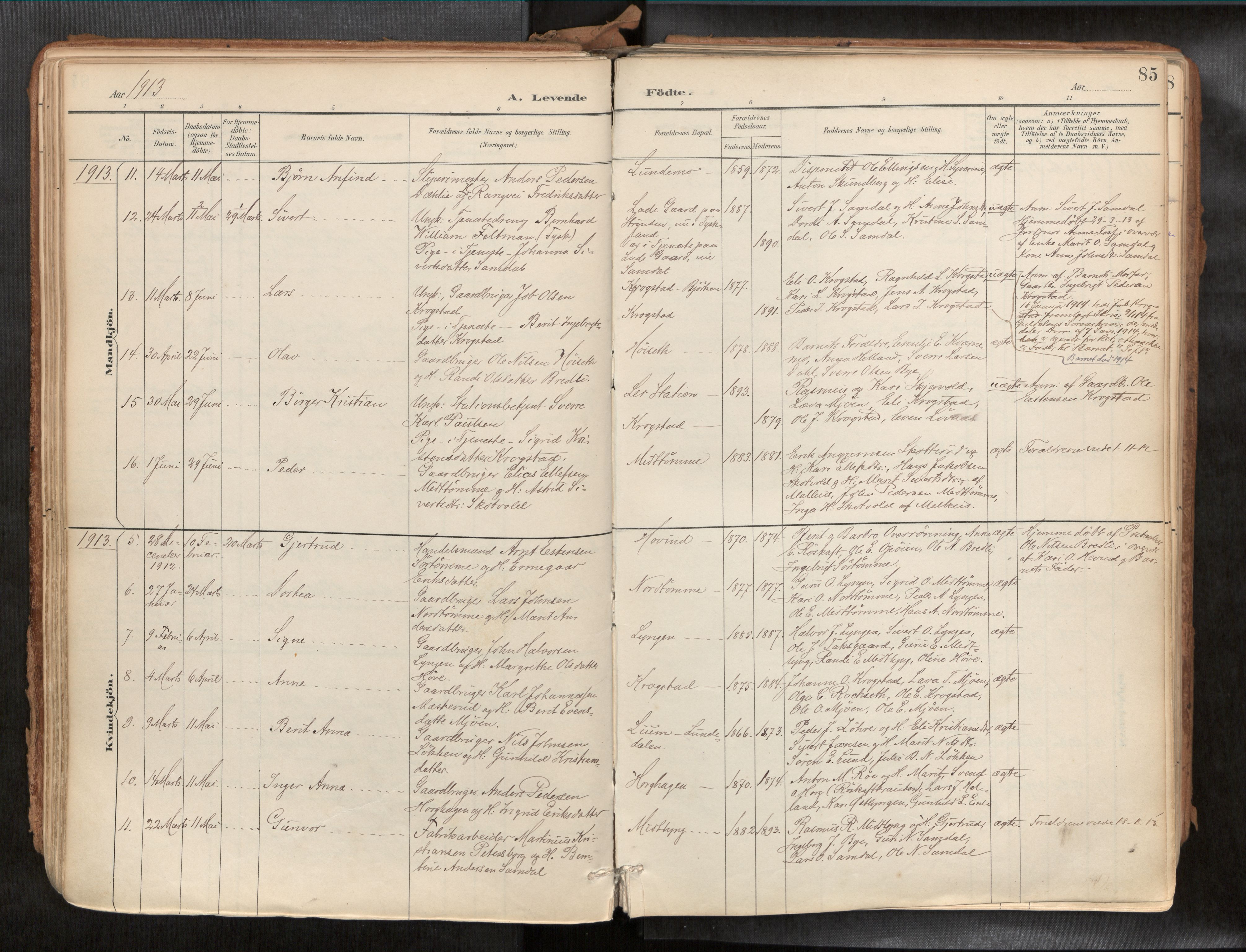 Ministerialprotokoller, klokkerbøker og fødselsregistre - Sør-Trøndelag, AV/SAT-A-1456/692/L1105b: Ministerialbok nr. 692A06, 1891-1934, s. 85