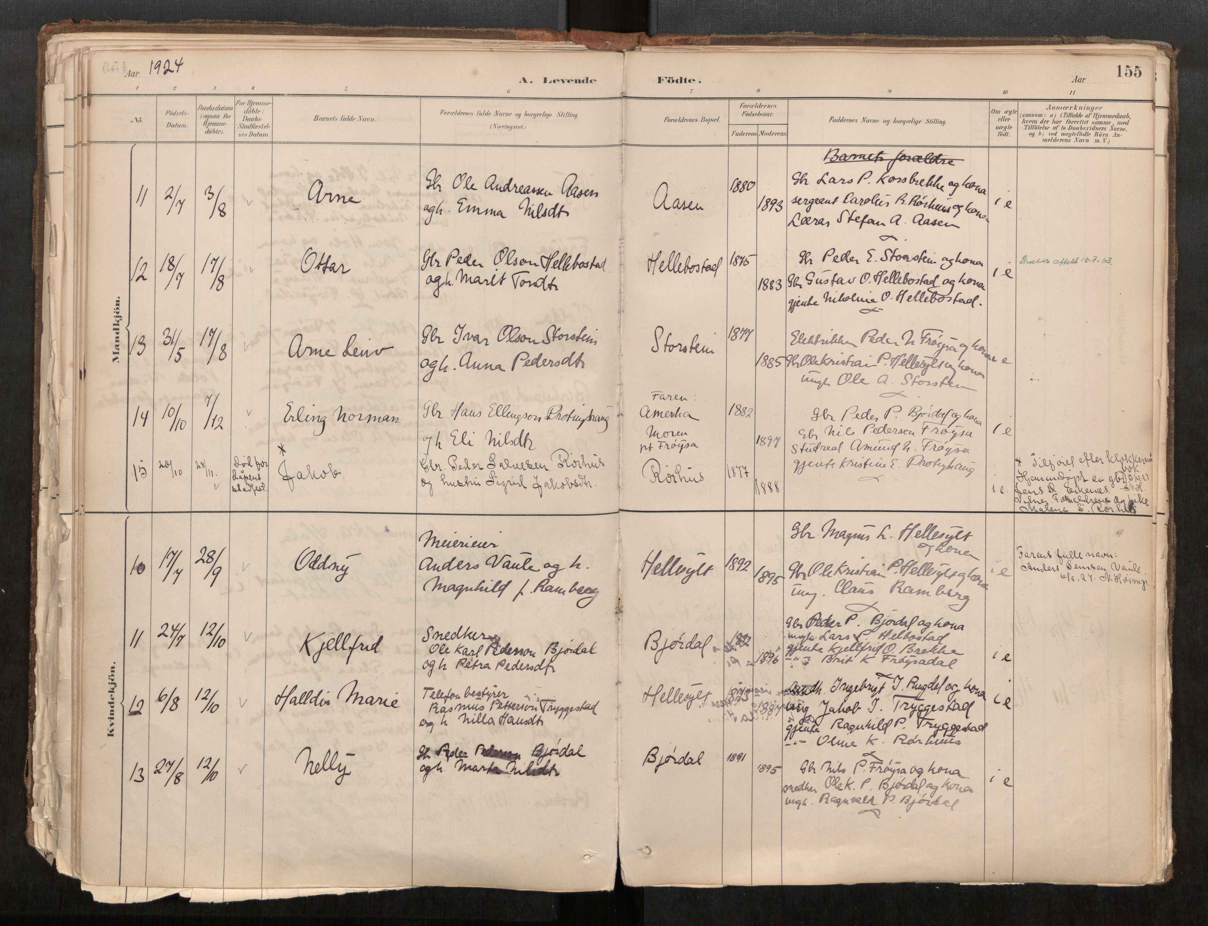 Sunnylven sokneprestkontor, AV/SAT-A-1007/H/Ha/Haa/L0002: Ministerialbok nr. 517A09, 1882-1939, s. 155