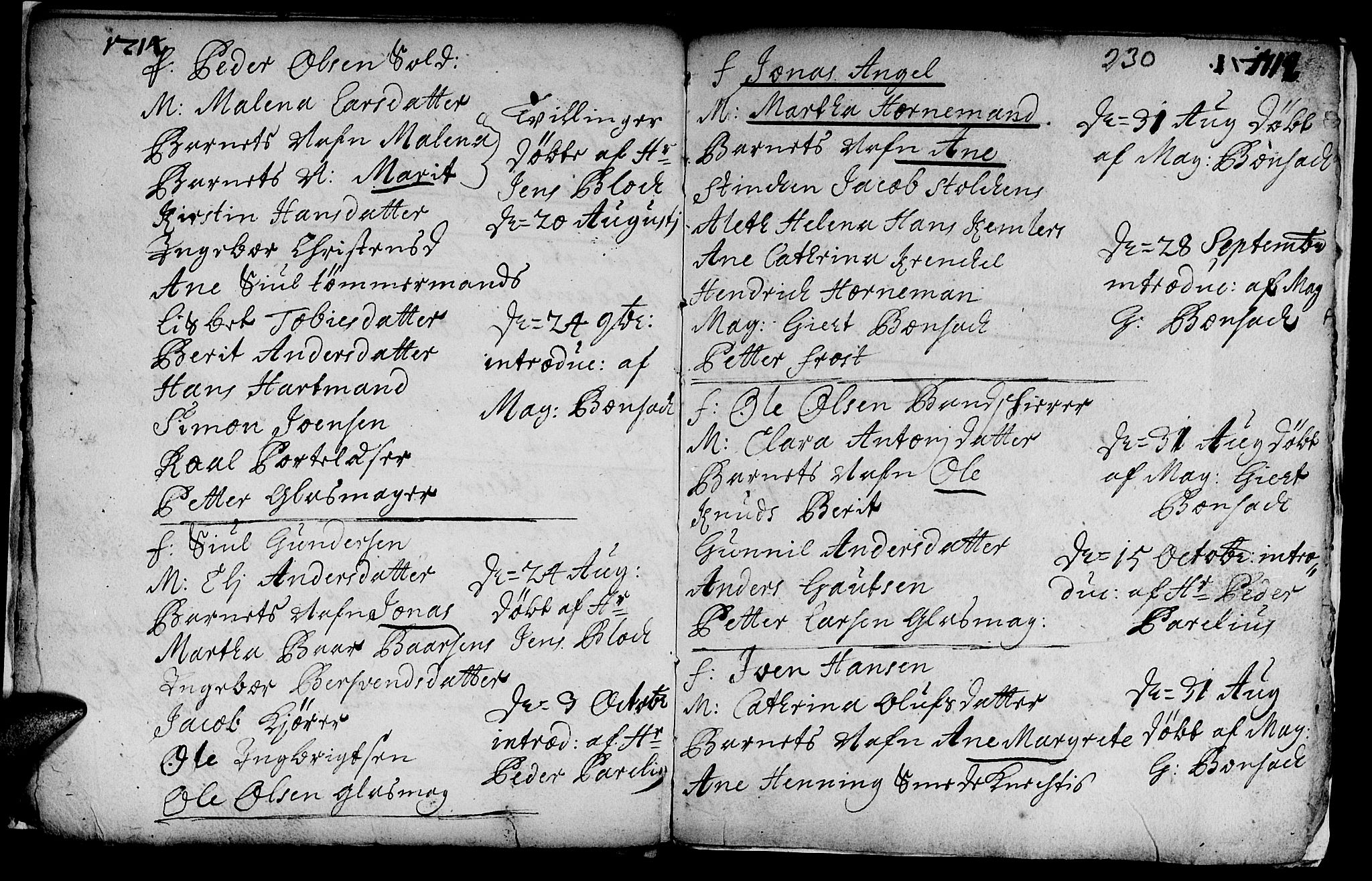 Ministerialprotokoller, klokkerbøker og fødselsregistre - Sør-Trøndelag, AV/SAT-A-1456/601/L0035: Ministerialbok nr. 601A03, 1713-1728, s. 230