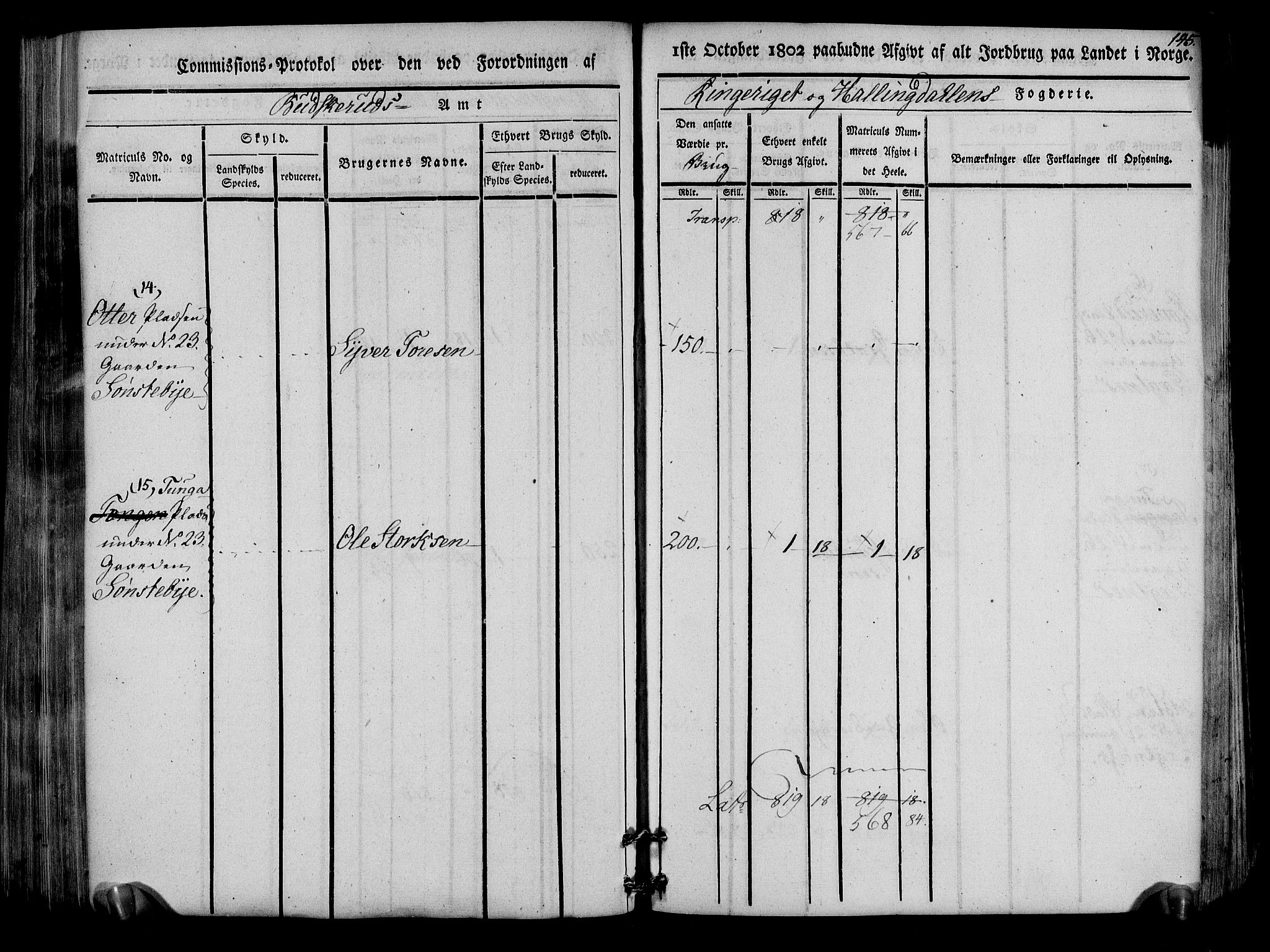 Rentekammeret inntil 1814, Realistisk ordnet avdeling, AV/RA-EA-4070/N/Ne/Nea/L0047: Ringerike og Hallingdal fogderi. Kommisjonsprotokoll for Nes prestegjeld, 1803, s. 148
