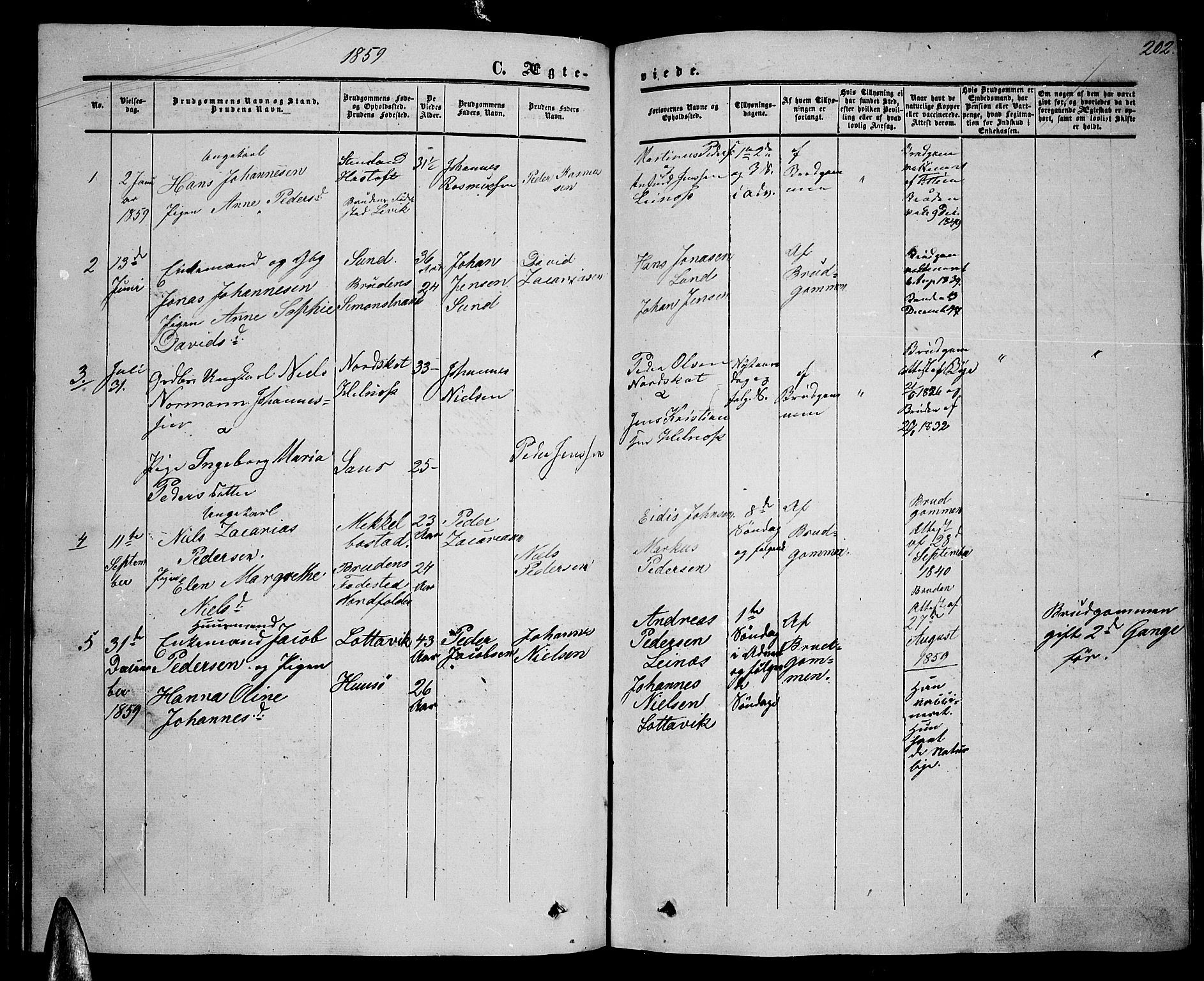 Ministerialprotokoller, klokkerbøker og fødselsregistre - Nordland, SAT/A-1459/857/L0827: Klokkerbok nr. 857C02, 1852-1879, s. 202