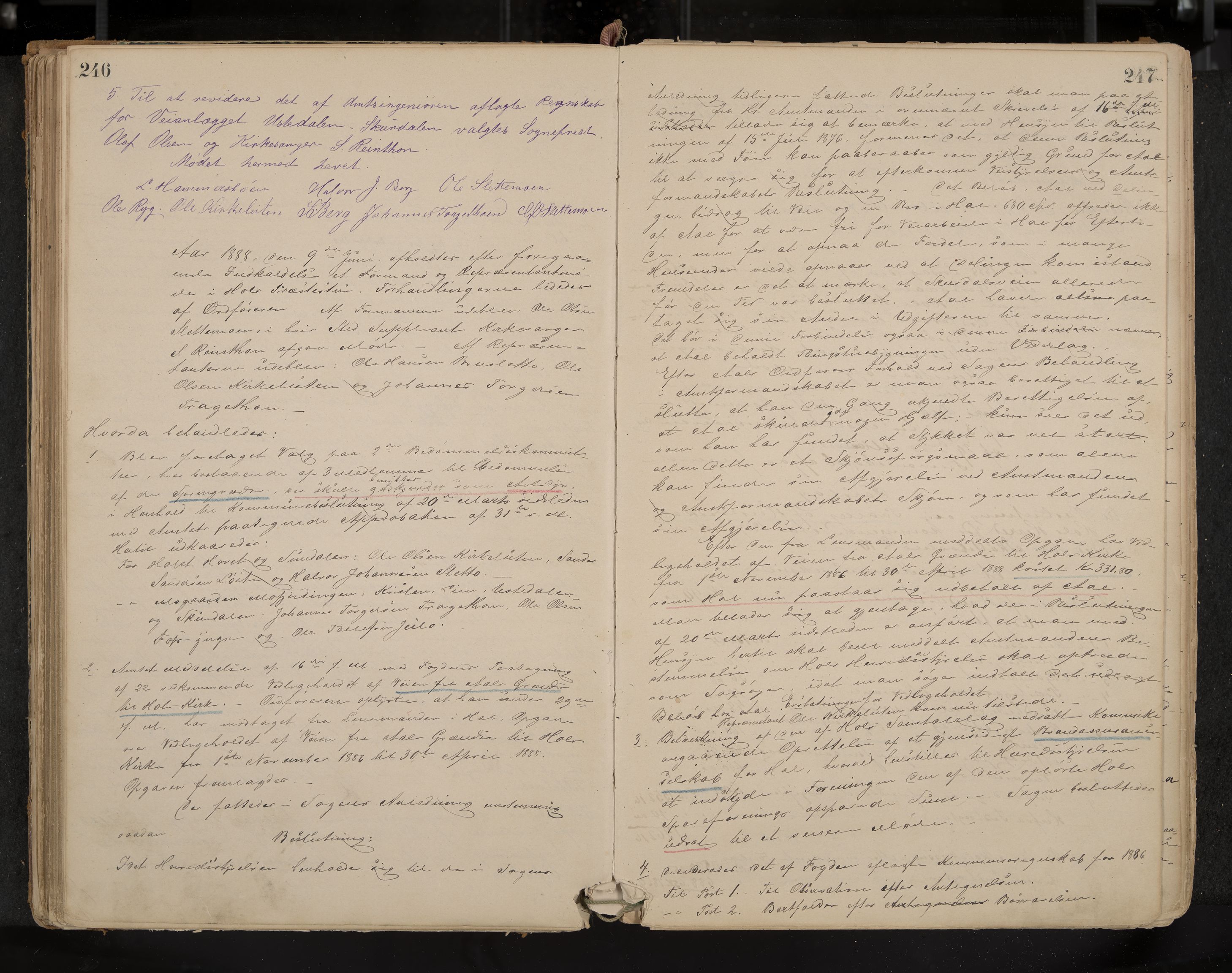 Hol formannskap og sentraladministrasjon, IKAK/0620021-1/A/L0001: Møtebok, 1877-1893, s. 246-247