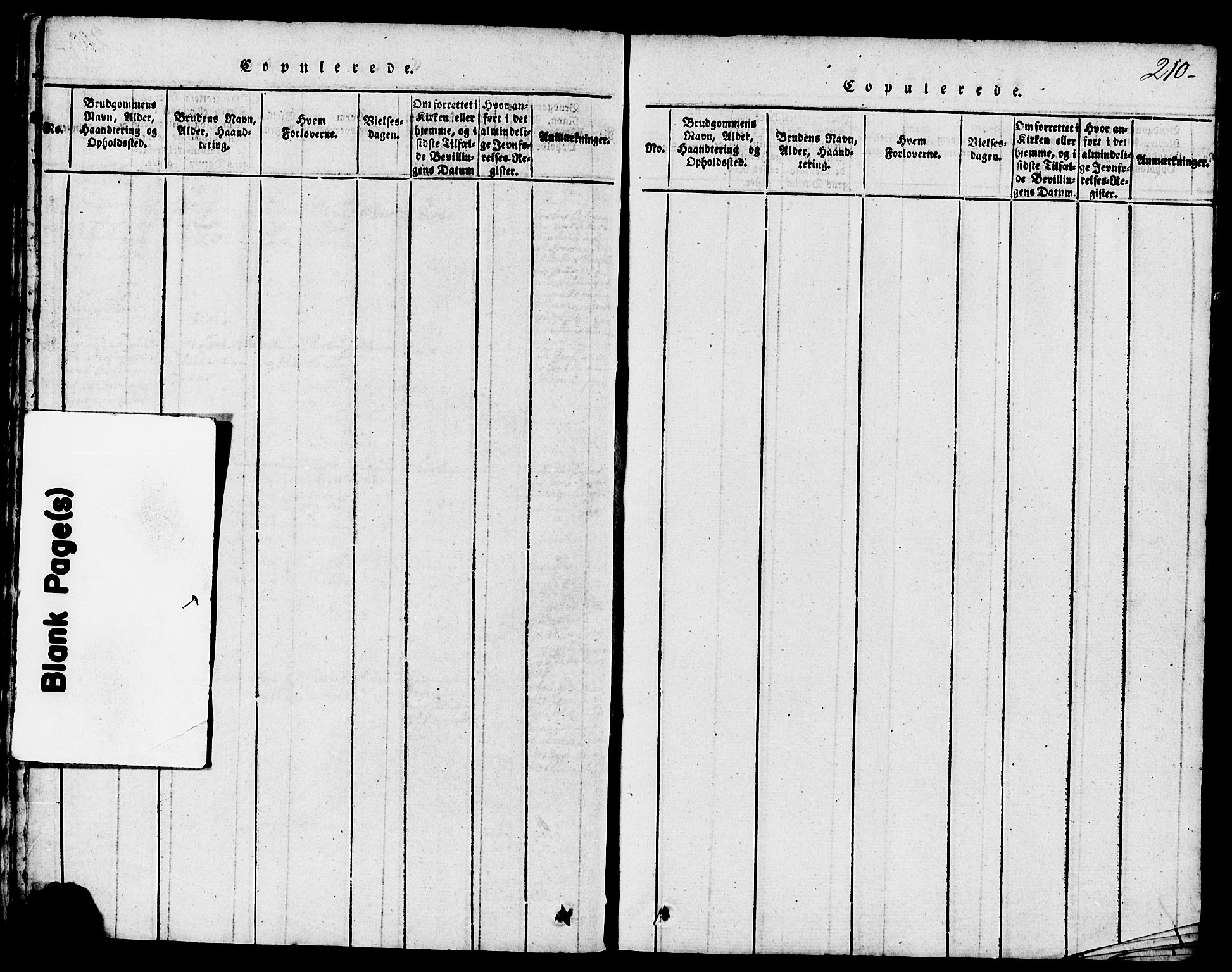 Domkirken sokneprestkontor, SAST/A-101812/001/30/30BB/L0008: Klokkerbok nr. B 8, 1816-1821, s. 210