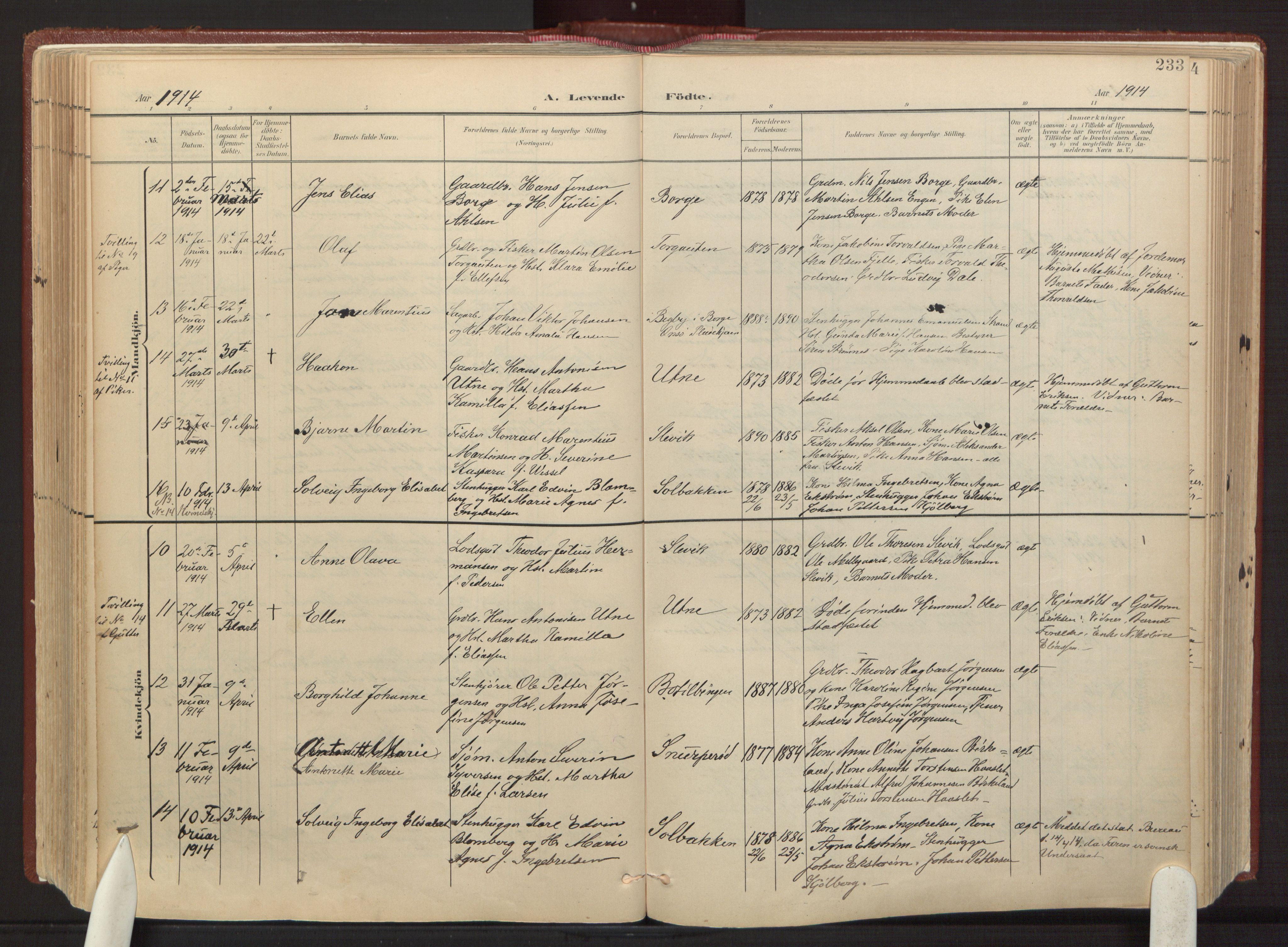 Onsøy prestekontor Kirkebøker, AV/SAO-A-10914/F/Fa/L0008: Ministerialbok nr. I 8, 1899-1923, s. 233