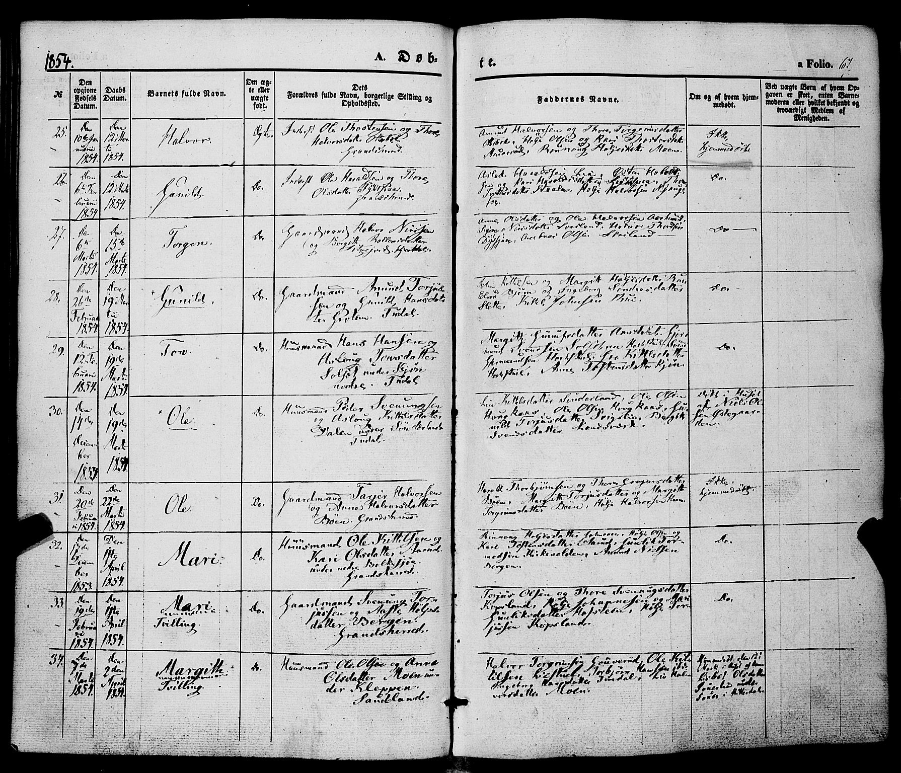 Hjartdal kirkebøker, AV/SAKO-A-270/F/Fa/L0008: Ministerialbok nr. I 8, 1844-1859, s. 67