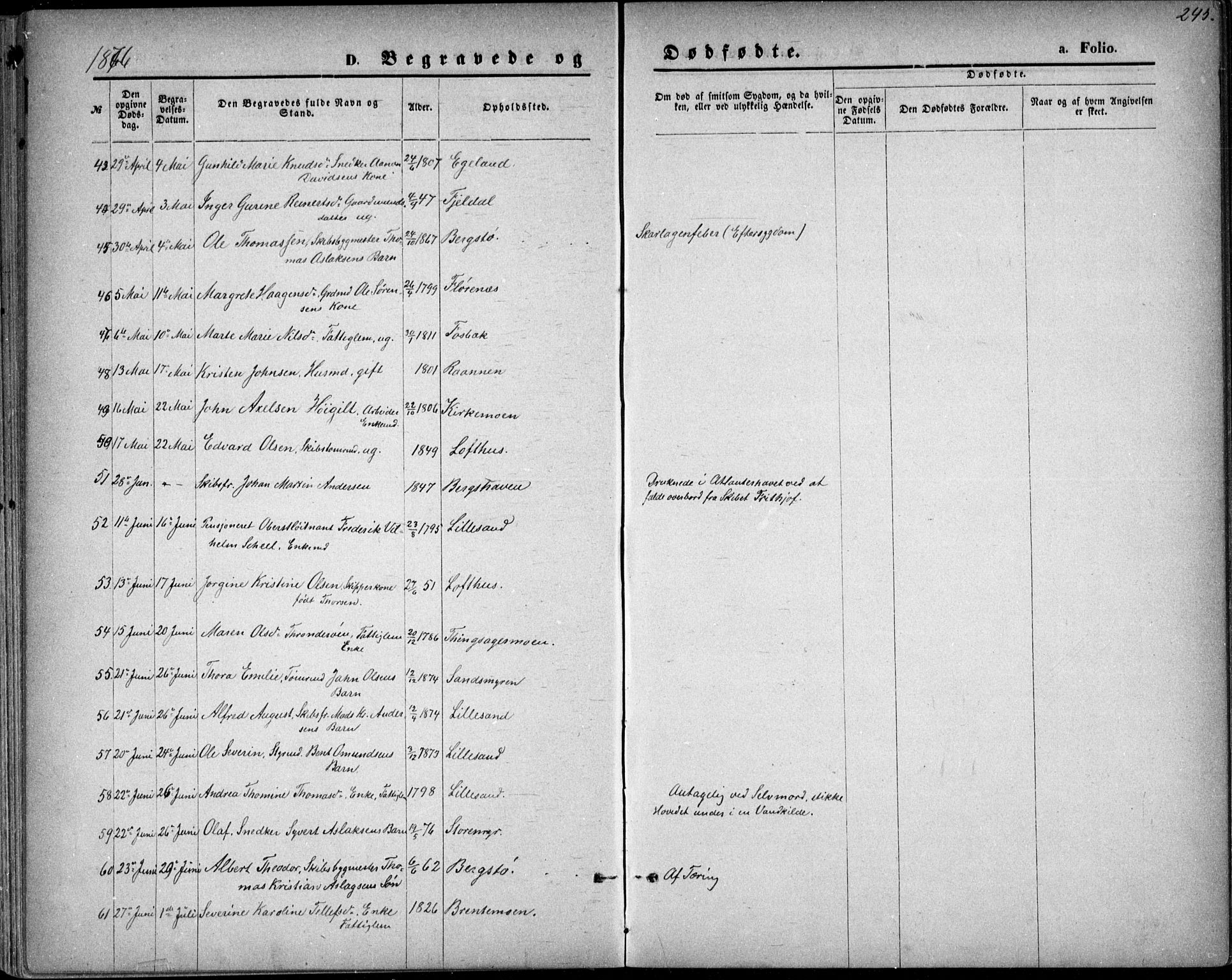 Vestre Moland sokneprestkontor, AV/SAK-1111-0046/F/Fb/Fbb/L0005: Klokkerbok nr. B 5, 1872-1883, s. 245
