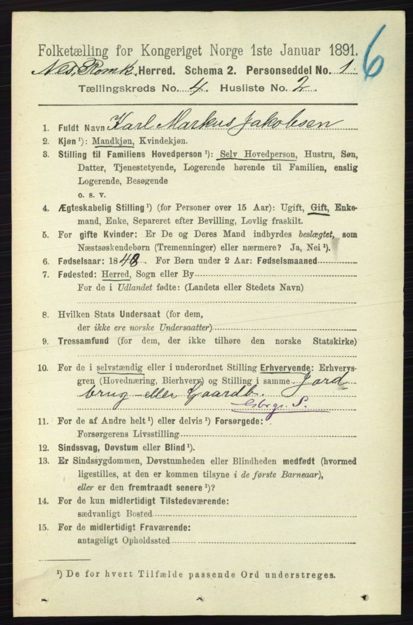RA, Folketelling 1891 for 0236 Nes herred, 1891, s. 2266