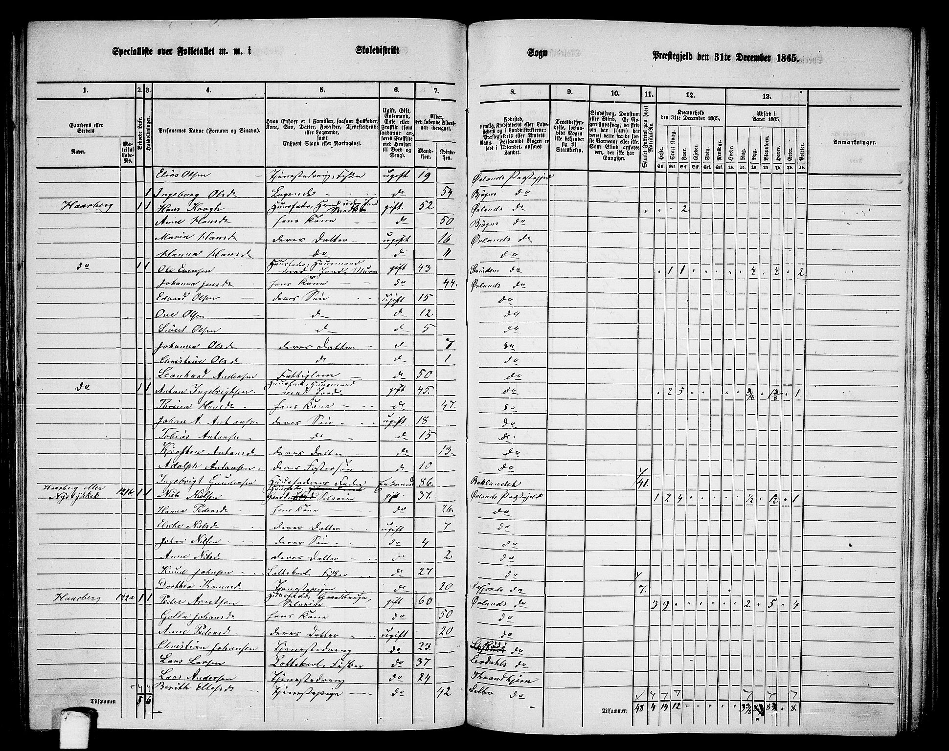 RA, Folketelling 1865 for 1621P Ørland prestegjeld, 1865, s. 106