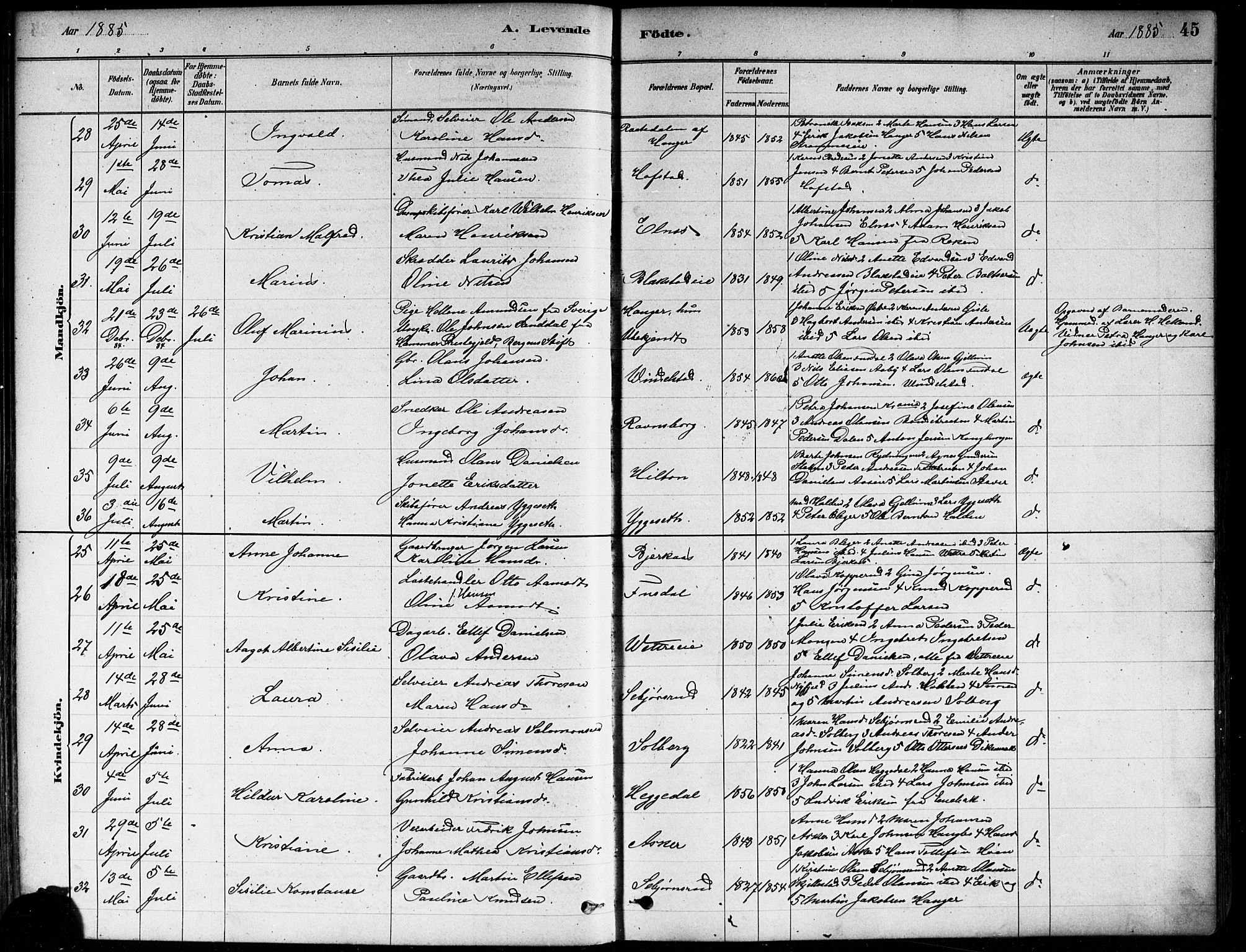 Asker prestekontor Kirkebøker, AV/SAO-A-10256a/F/Fa/L0013: Ministerialbok nr. I 13, 1879-1896, s. 45