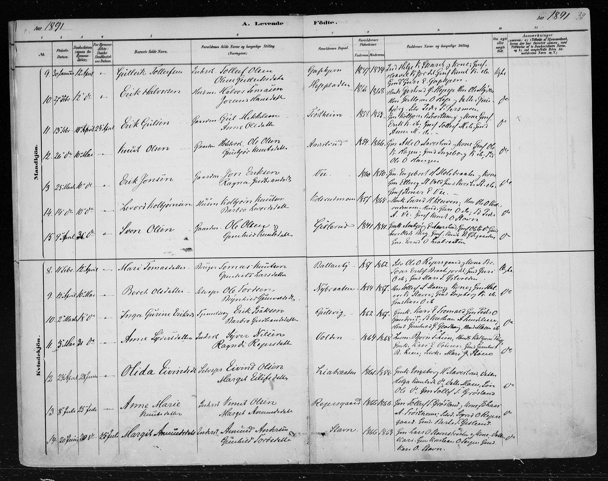 Nes kirkebøker, AV/SAKO-A-236/F/Fa/L0012: Ministerialbok nr. 12, 1881-1917, s. 39