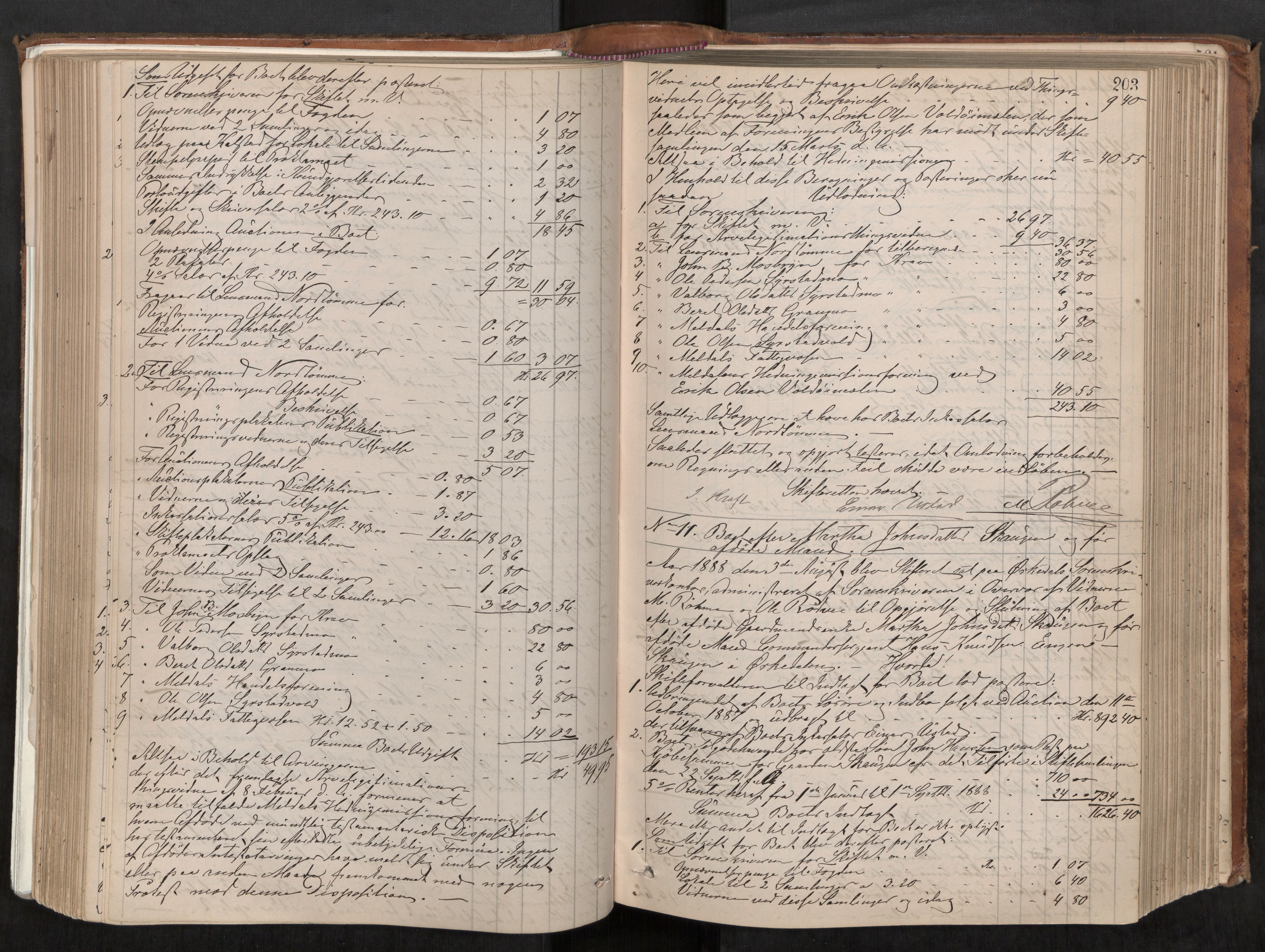 Orkdal sorenskriveri, AV/SAT-A-4169/1/3/3Aa/L0014: Skifteprotokoller, 1881-1902, s. 203