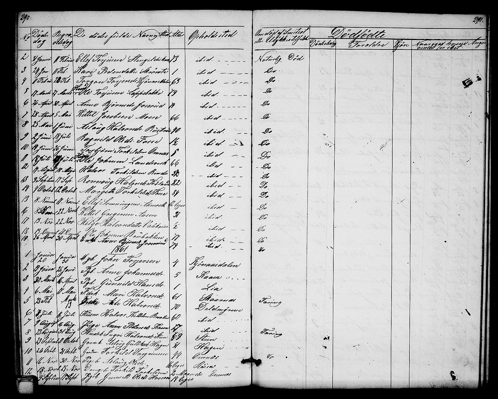 Hjartdal kirkebøker, AV/SAKO-A-270/G/Gb/L0002: Klokkerbok nr. II 2, 1854-1884, s. 290-291