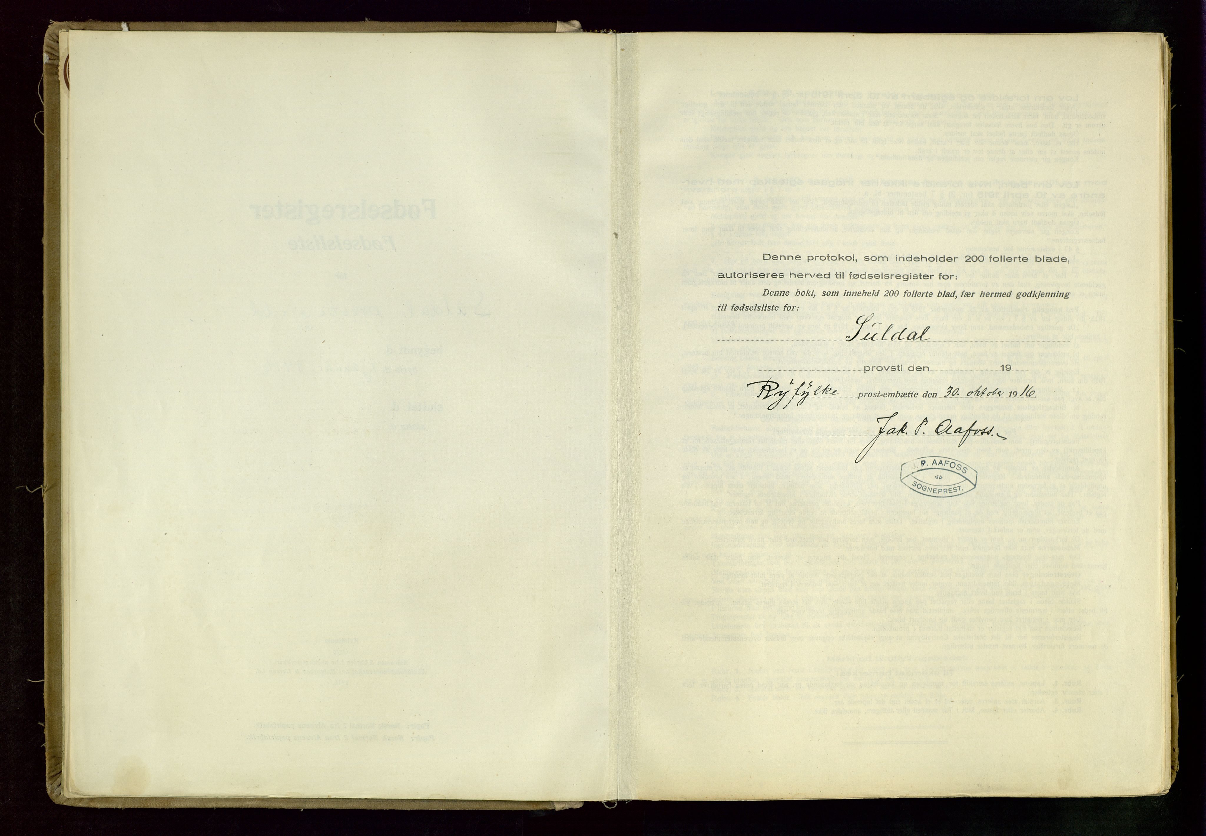 Suldal sokneprestkontor, AV/SAST-A-101845/03/A/L0002: Fødselsregister nr. 2, 1916-1982