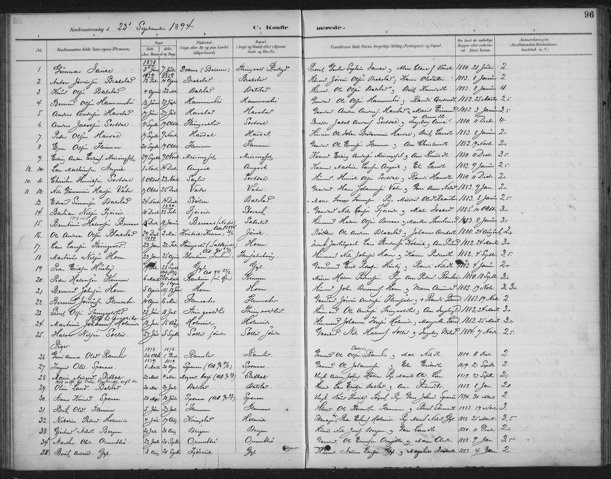 Ministerialprotokoller, klokkerbøker og fødselsregistre - Møre og Romsdal, SAT/A-1454/586/L0988: Ministerialbok nr. 586A14, 1893-1905, s. 96