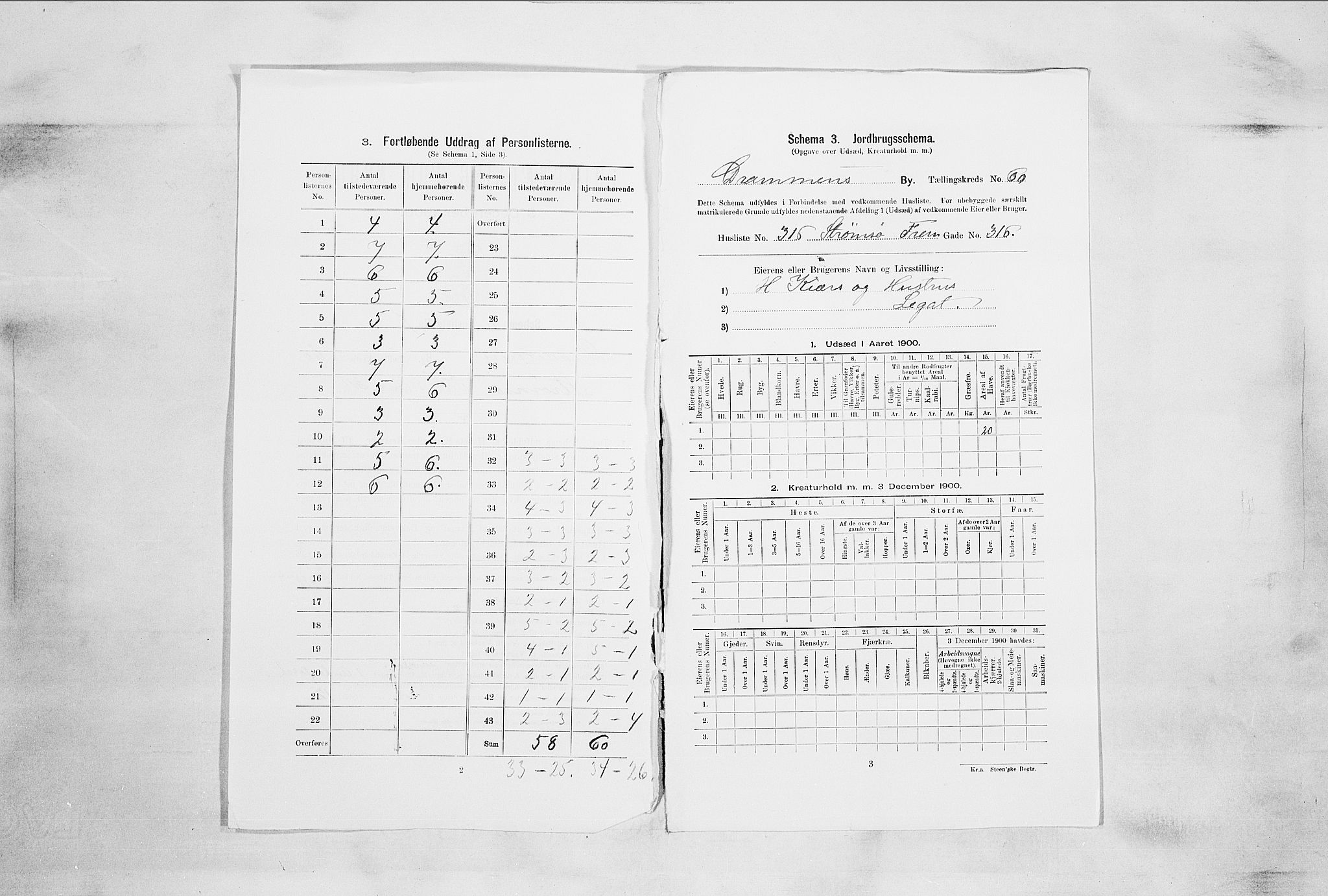 RA, Folketelling 1900 for 0602 Drammen kjøpstad, 1900, s. 10416