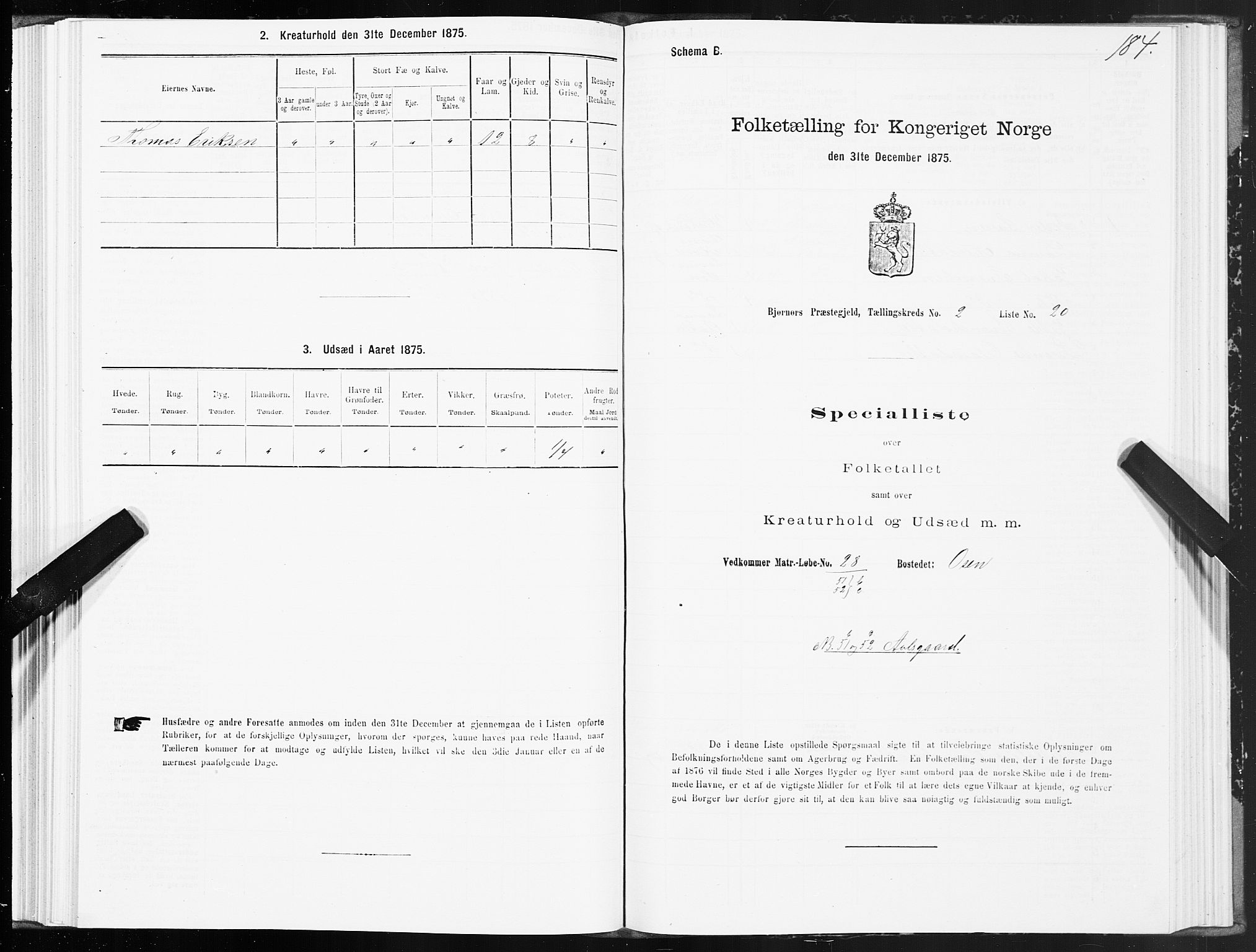 SAT, Folketelling 1875 for 1632P Bjørnør prestegjeld, 1875, s. 1184